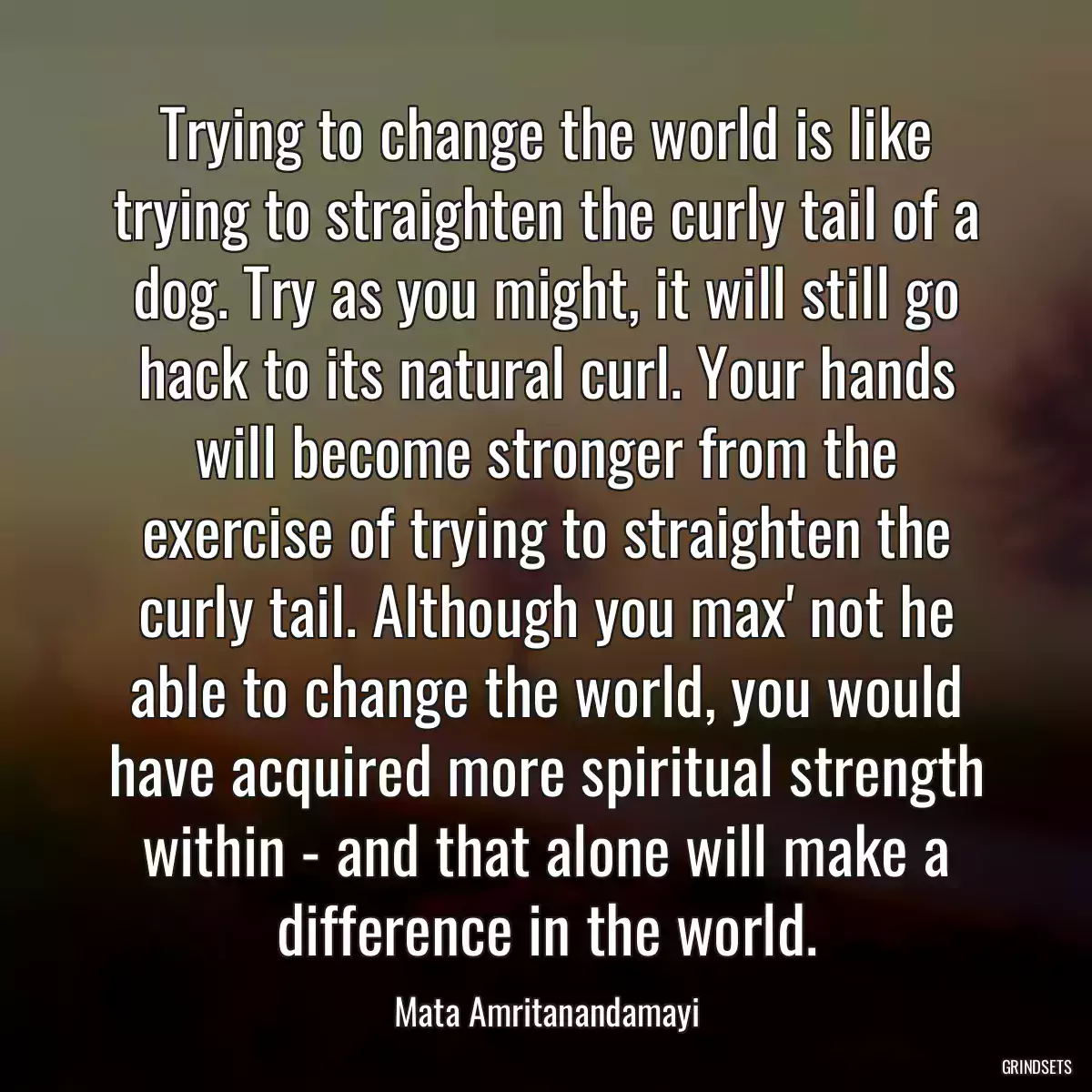 Trying to change the world is like trying to straighten the curly tail of a dog. Try as you might, it will still go hack to its natural curl. Your hands will become stronger from the exercise of trying to straighten the curly tail. Although you max\' not he able to change the world, you would have acquired more spiritual strength within - and that alone will make a difference in the world.