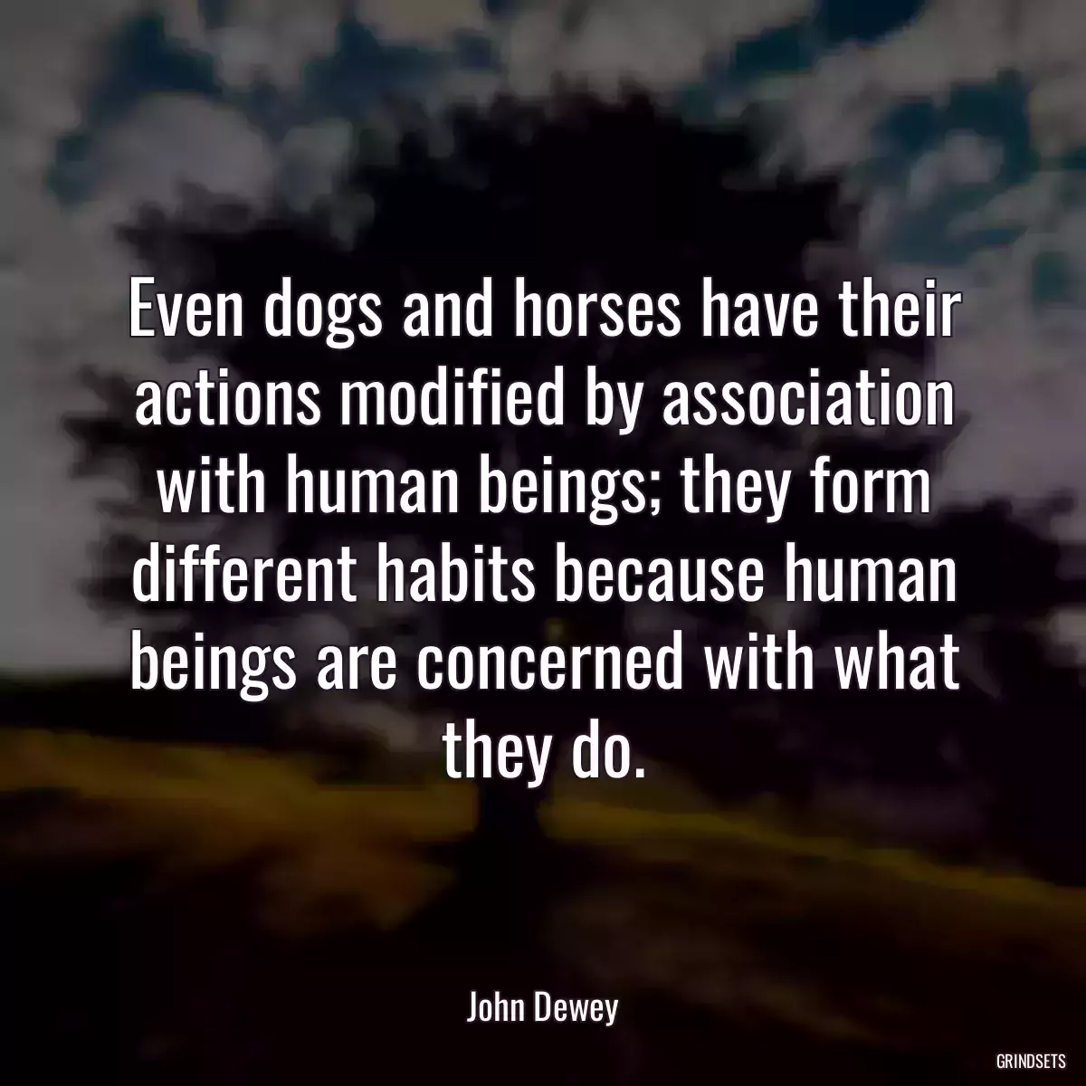 Even dogs and horses have their actions modified by association with human beings; they form different habits because human beings are concerned with what they do.