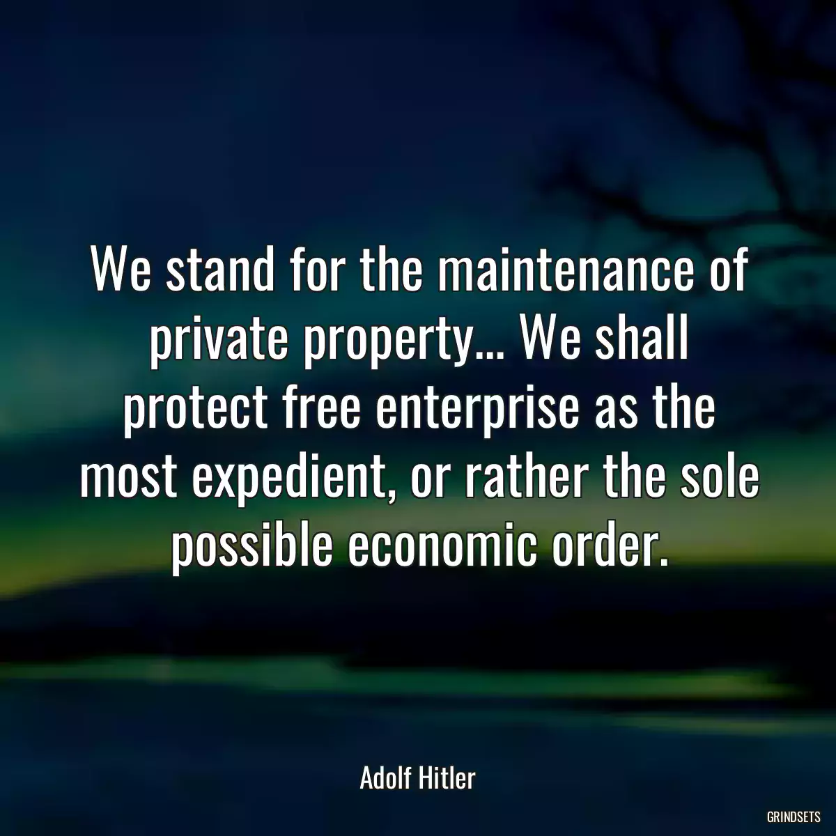 We stand for the maintenance of private property... We shall protect free enterprise as the most expedient, or rather the sole possible economic order.