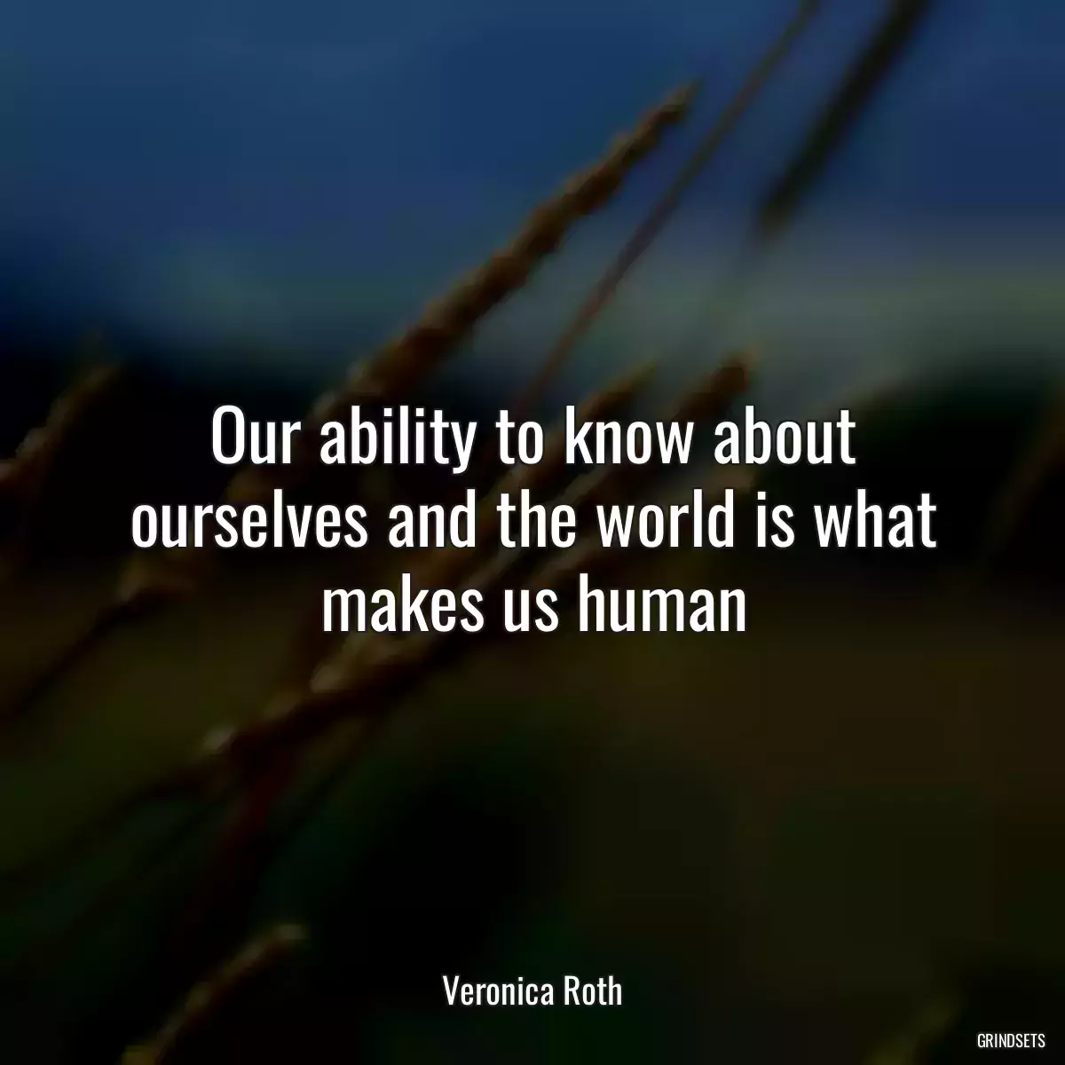 Our ability to know about ourselves and the world is what makes us human