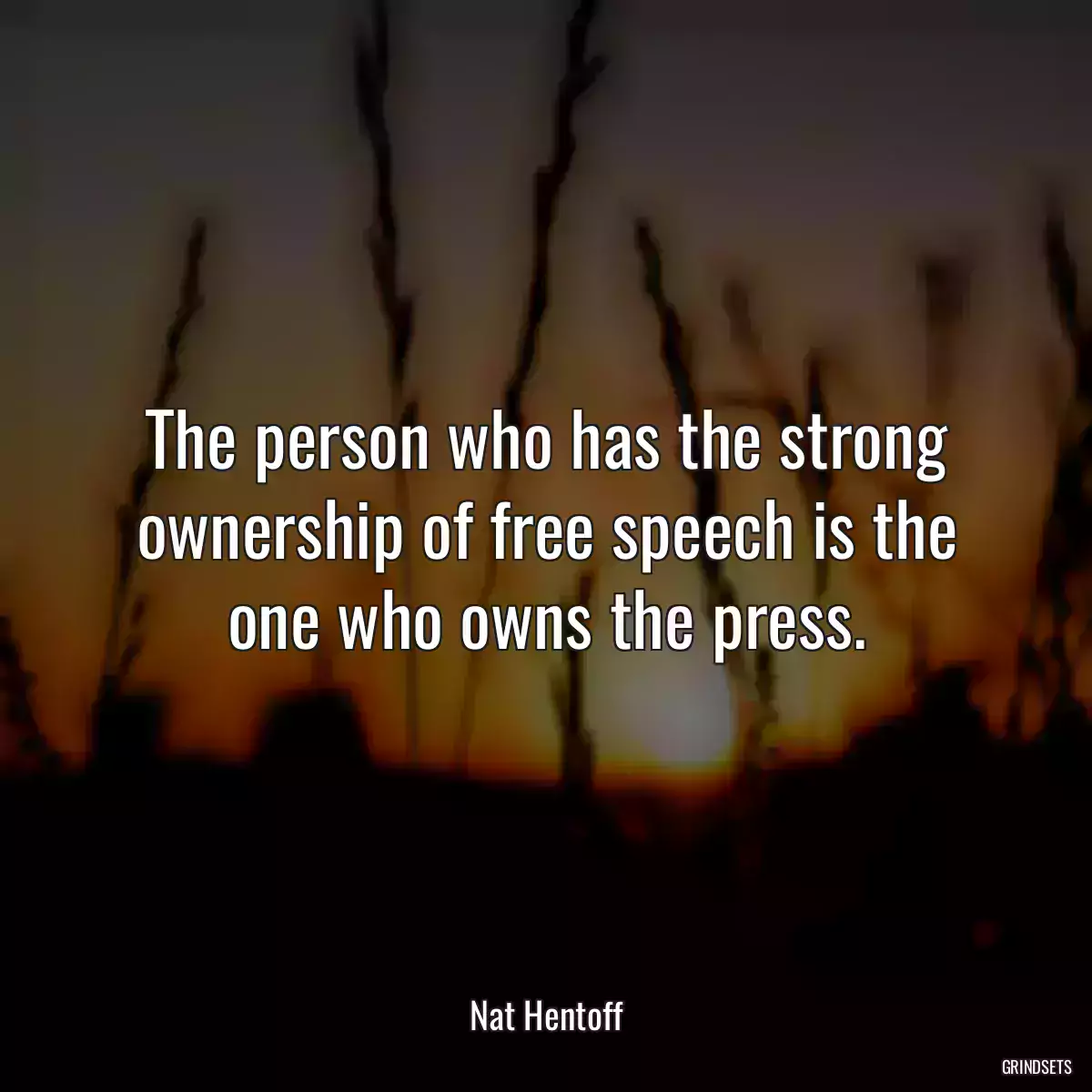 The person who has the strong ownership of free speech is the one who owns the press.