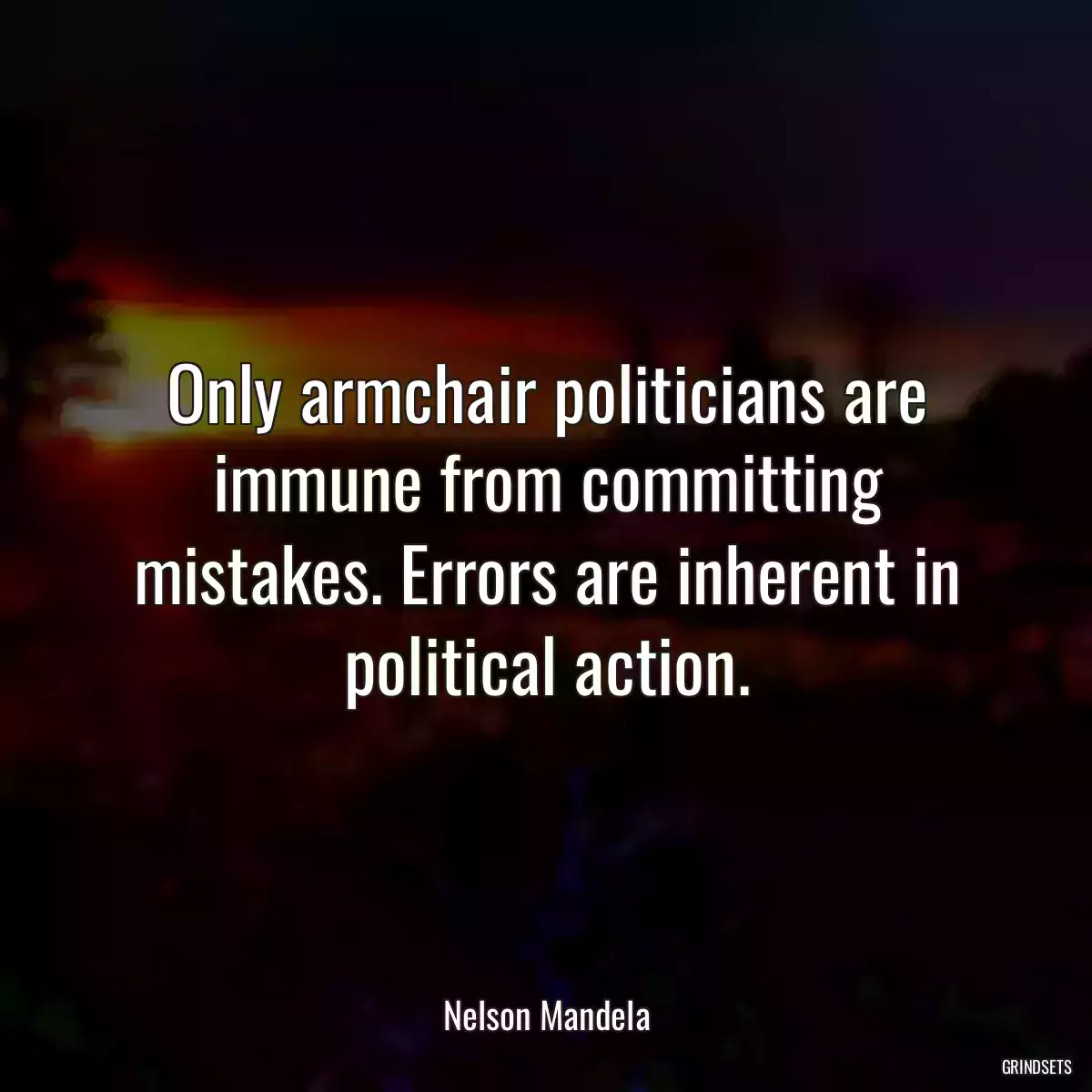 Only armchair politicians are immune from committing mistakes. Errors are inherent in political action.