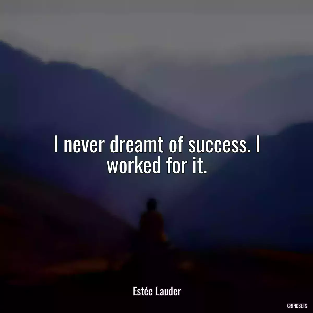 I never dreamt of success. I worked for it.