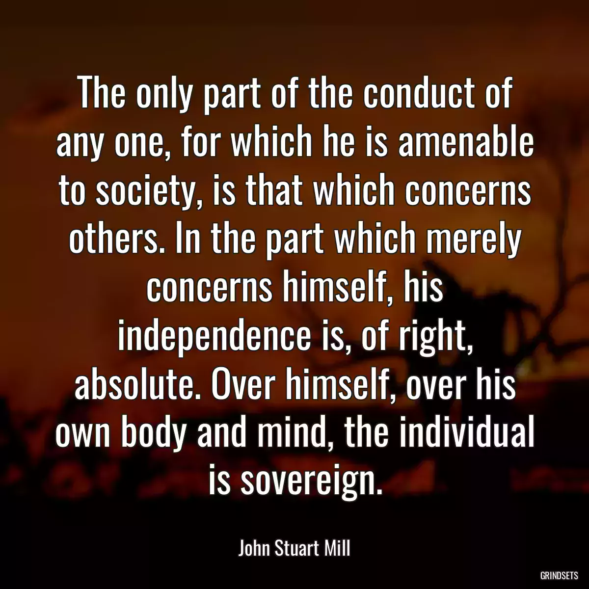 The only part of the conduct of any one, for which he is amenable to society, is that which concerns others. In the part which merely concerns himself, his independence is, of right, absolute. Over himself, over his own body and mind, the individual is sovereign.