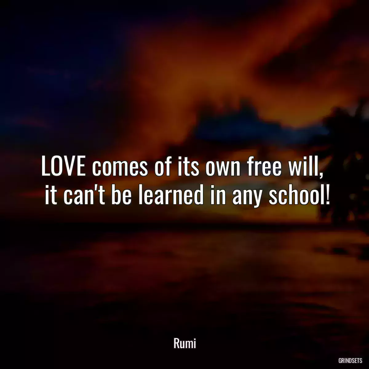 LOVE comes of its own free will, 
 it can\'t be learned in any school!