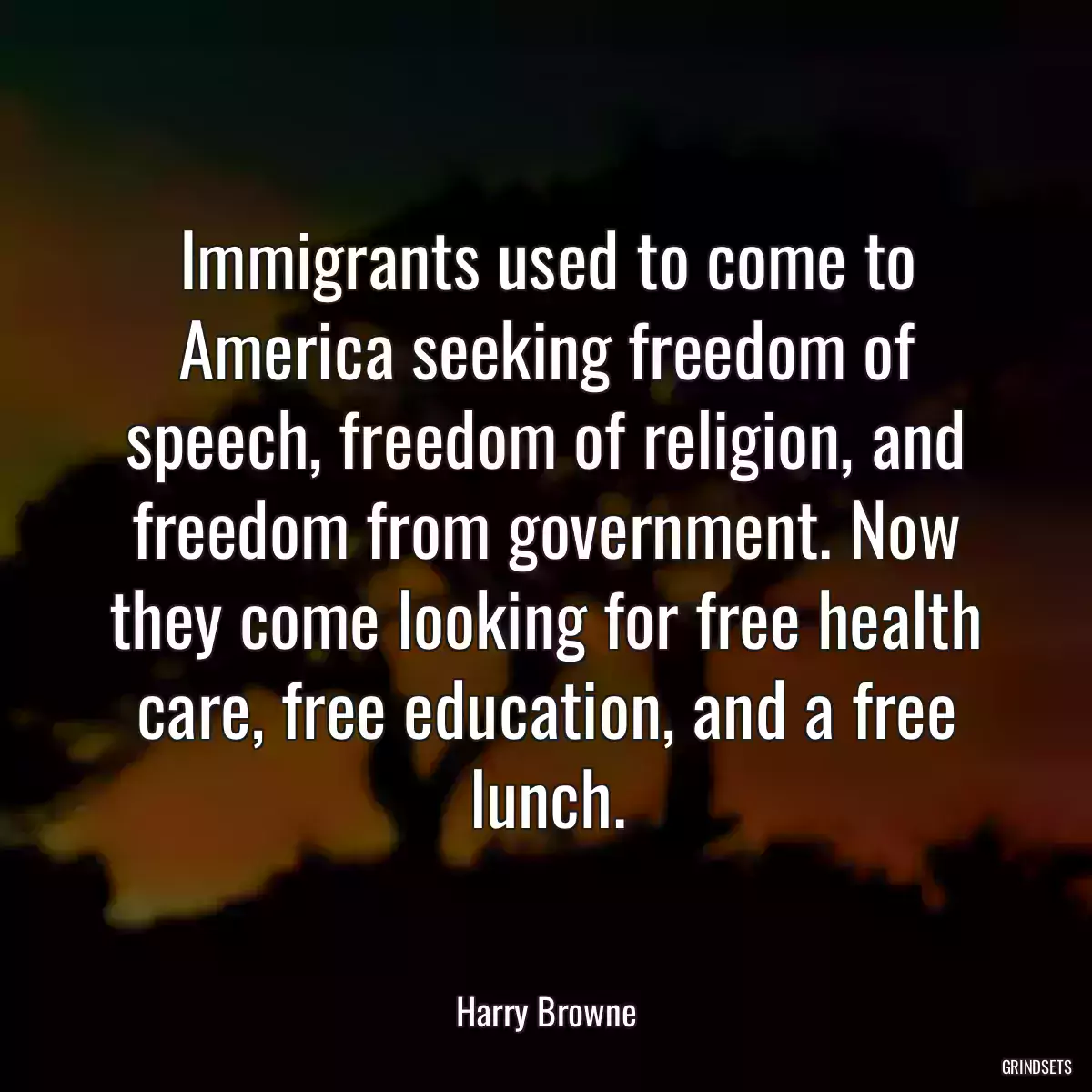 Immigrants used to come to America seeking freedom of speech, freedom of religion, and freedom from government. Now they come looking for free health care, free education, and a free lunch.