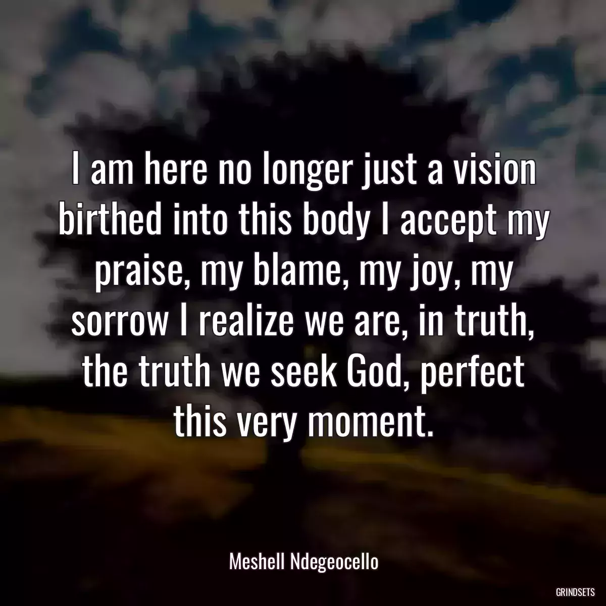 I am here no longer just a vision birthed into this body I accept my praise, my blame, my joy, my sorrow I realize we are, in truth, the truth we seek God, perfect this very moment.