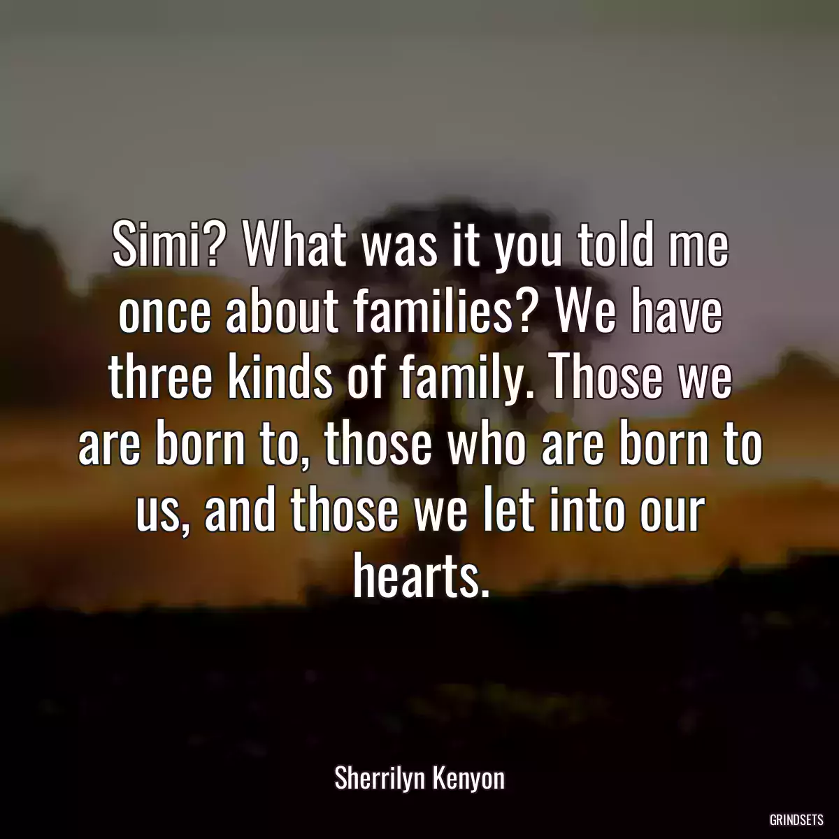 Simi? What was it you told me once about families? We have three kinds of family. Those we are born to, those who are born to us, and those we let into our hearts.