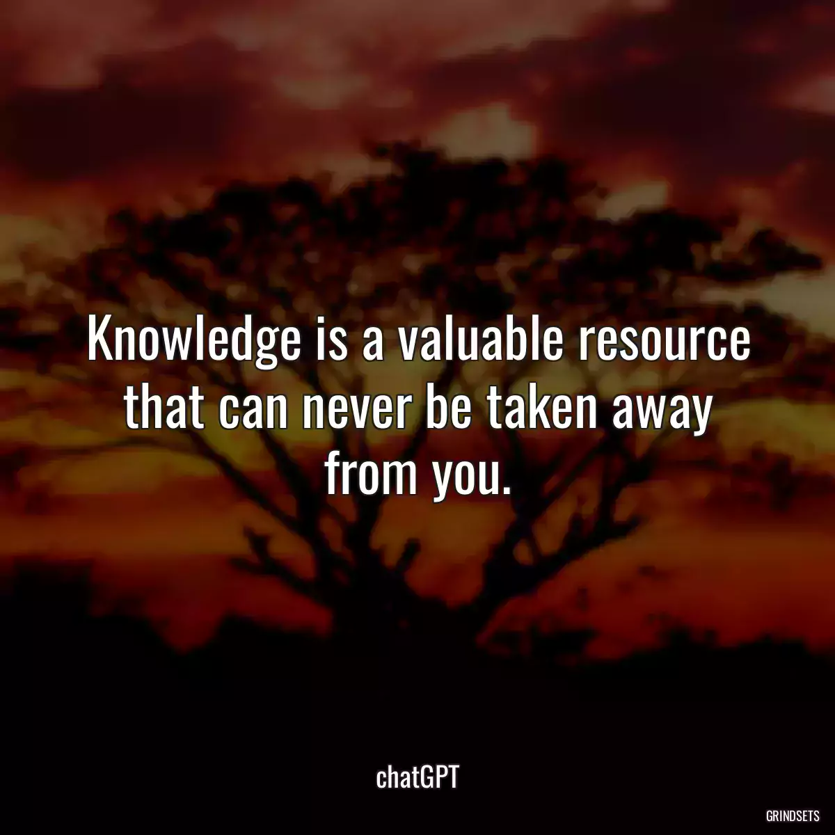 Knowledge is a valuable resource that can never be taken away from you.