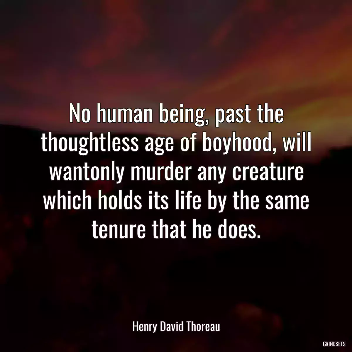 No human being, past the thoughtless age of boyhood, will wantonly murder any creature which holds its life by the same tenure that he does.