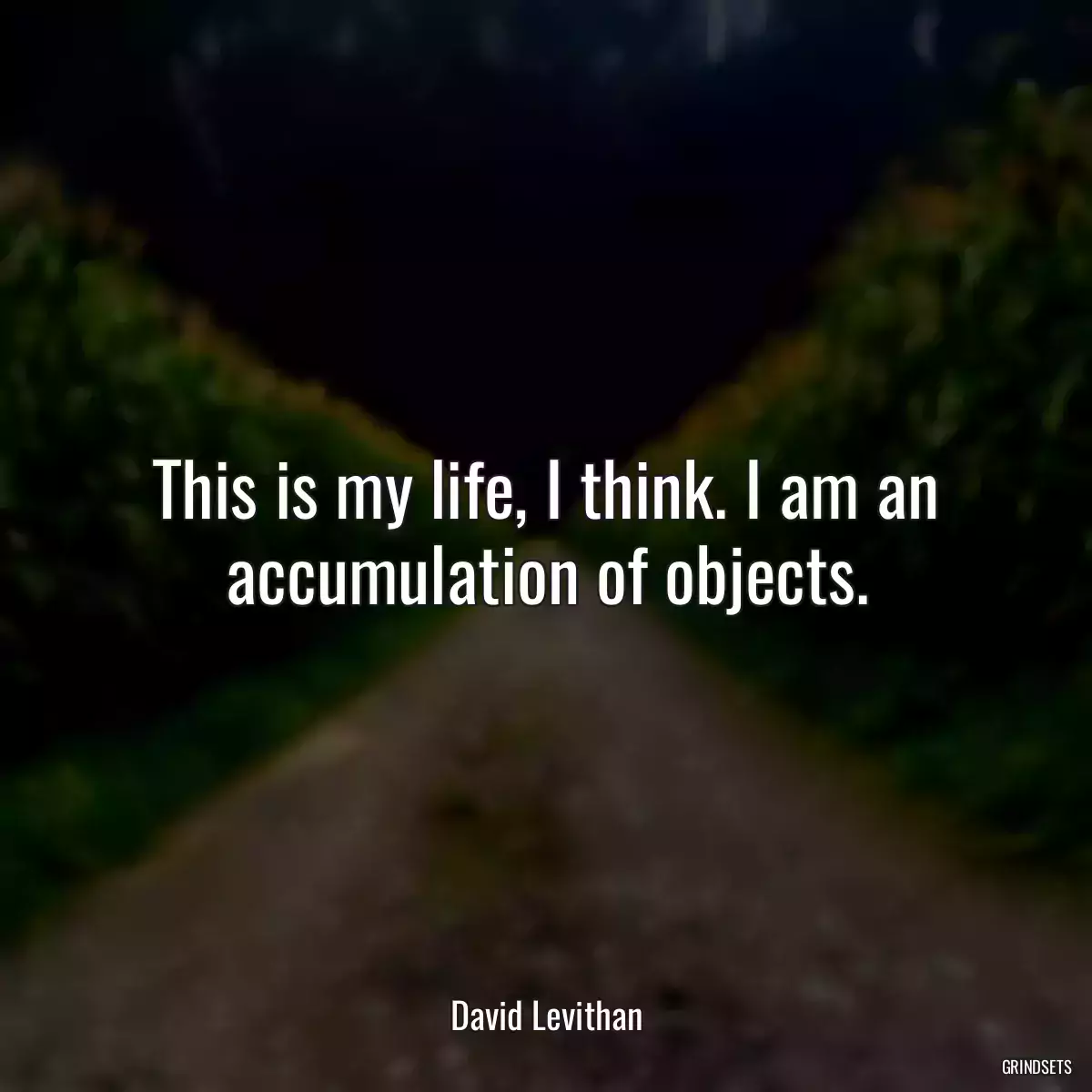 This is my life, I think. I am an accumulation of objects.