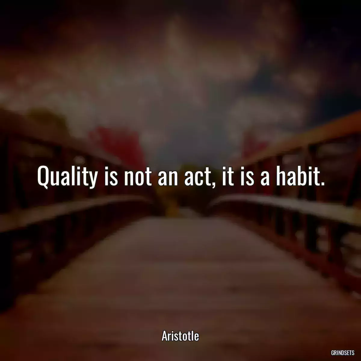 Quality is not an act, it is a habit.