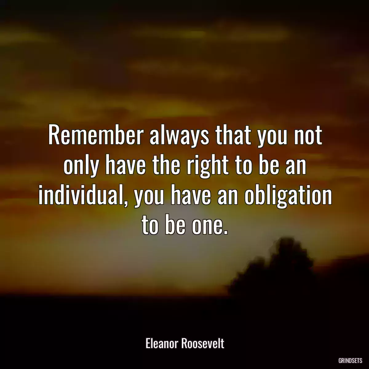 Remember always that you not only have the right to be an individual, you have an obligation to be one.