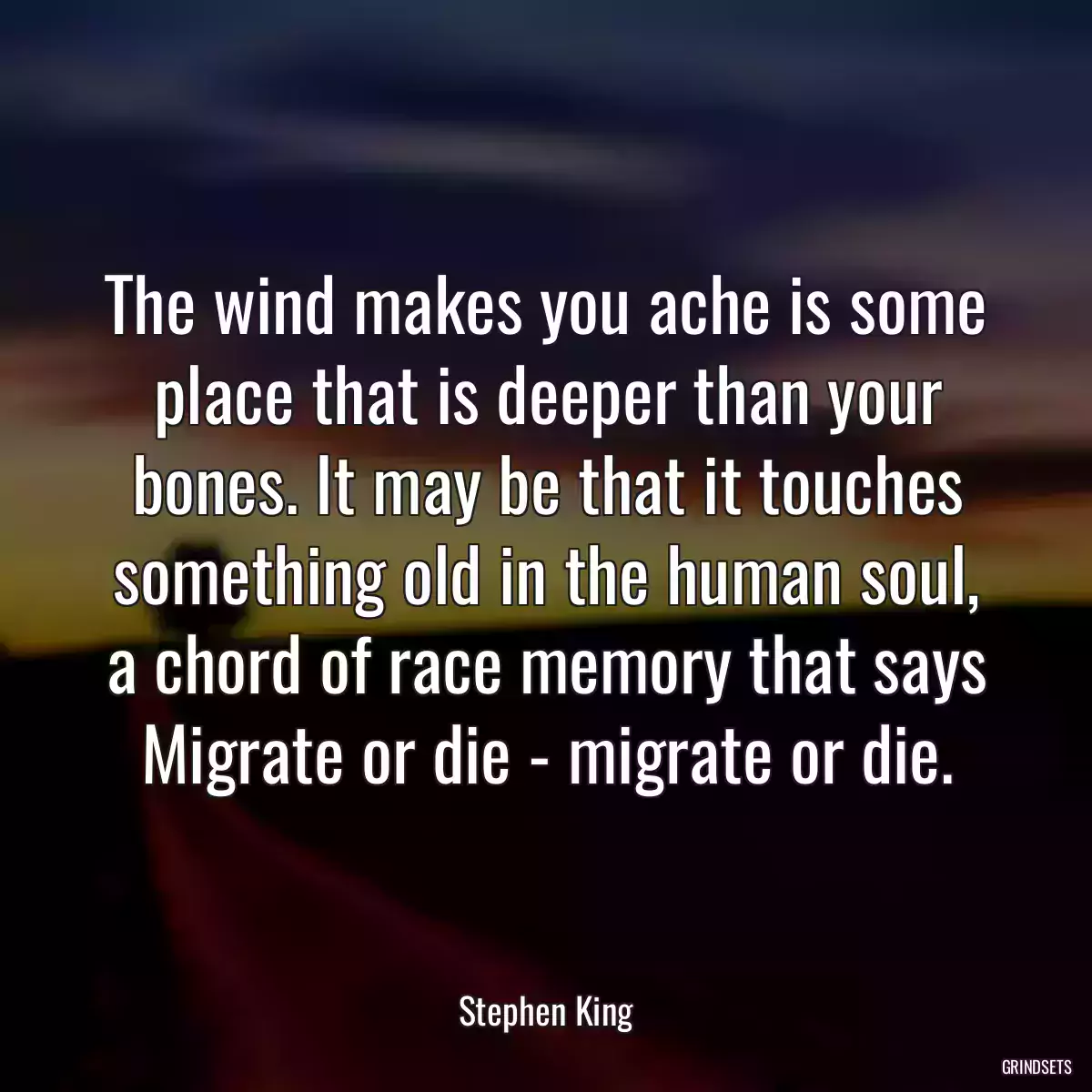 The wind makes you ache is some place that is deeper than your bones. It may be that it touches something old in the human soul, a chord of race memory that says Migrate or die - migrate or die.