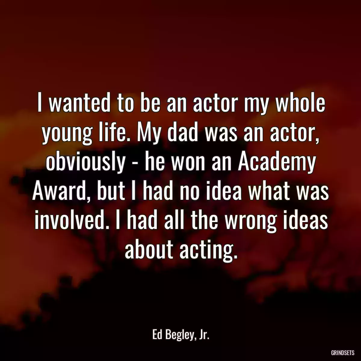 I wanted to be an actor my whole young life. My dad was an actor, obviously - he won an Academy Award, but I had no idea what was involved. I had all the wrong ideas about acting.