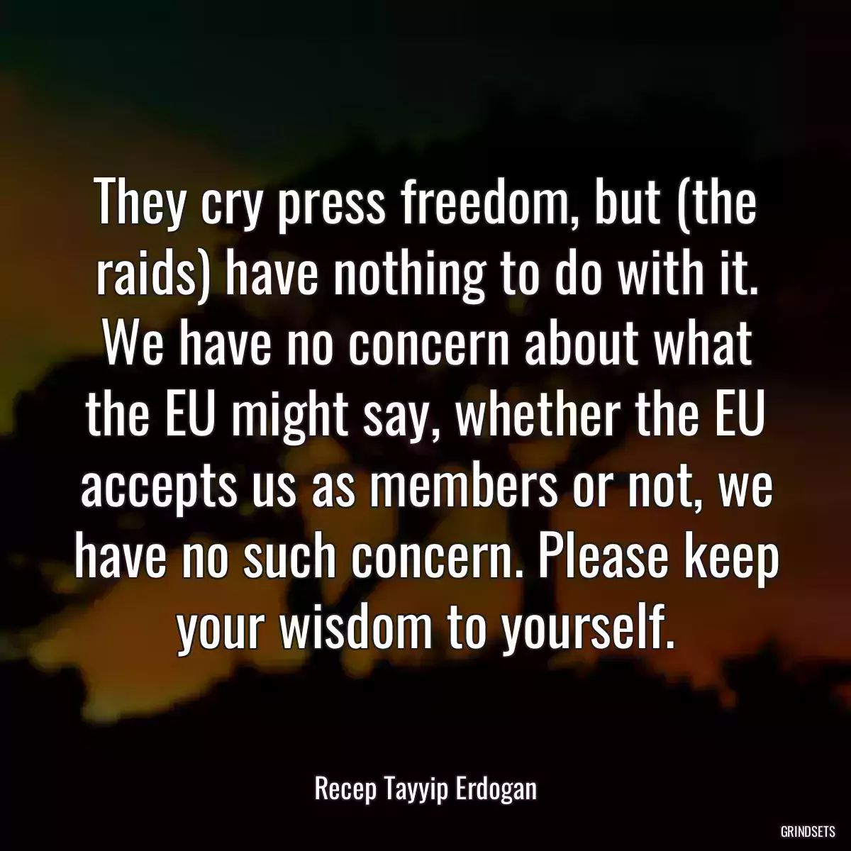 They cry press freedom, but (the raids) have nothing to do with it. We have no concern about what the EU might say, whether the EU accepts us as members or not, we have no such concern. Please keep your wisdom to yourself.