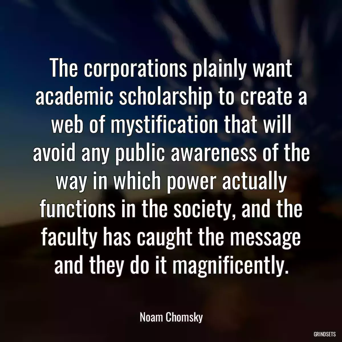 The corporations plainly want academic scholarship to create a web of mystification that will avoid any public awareness of the way in which power actually functions in the society, and the faculty has caught the message and they do it magnificently.