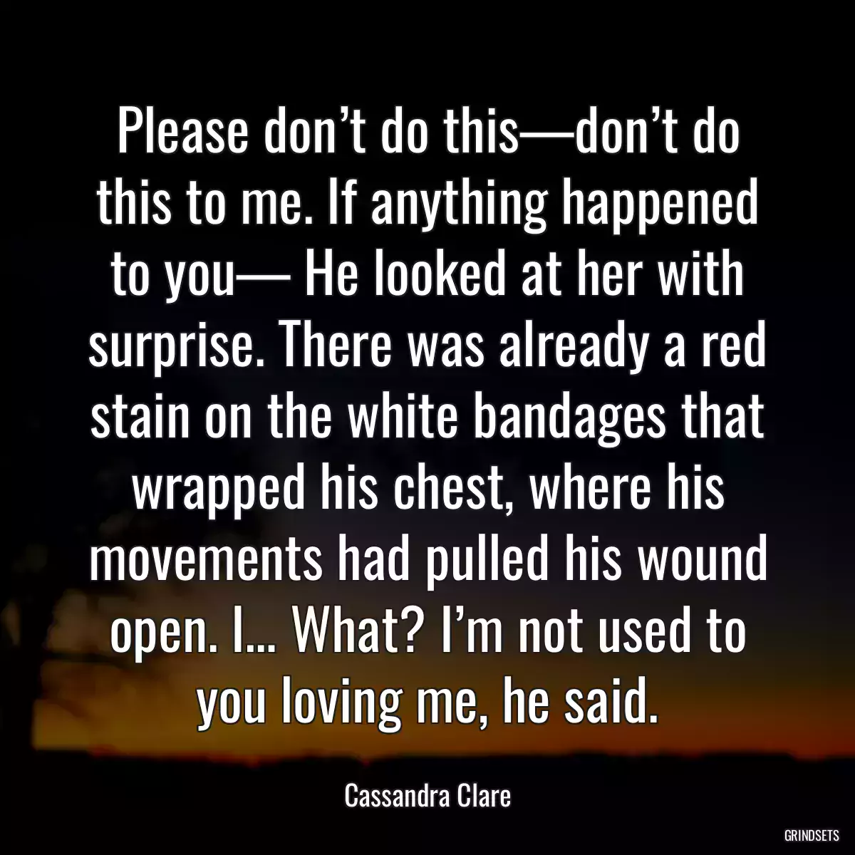 Please don’t do this—don’t do this to me. If anything happened to you— He looked at her with surprise. There was already a red stain on the white bandages that wrapped his chest, where his movements had pulled his wound open. I… What? I’m not used to you loving me, he said.