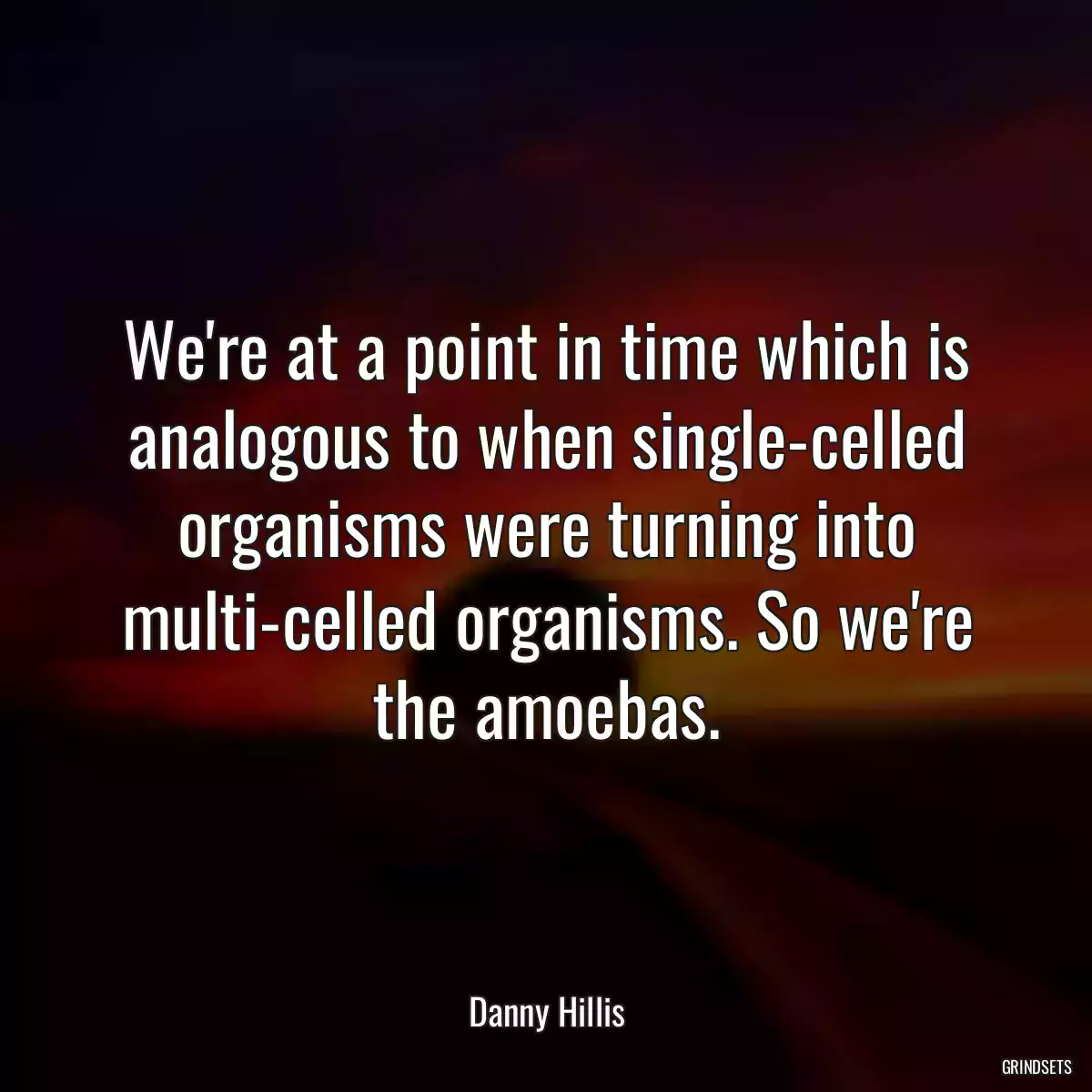 We\'re at a point in time which is analogous to when single-celled organisms were turning into multi-celled organisms. So we\'re the amoebas.