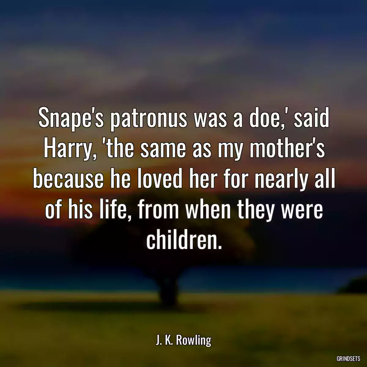 Snape\'s patronus was a doe,\' said Harry, \'the same as my mother\'s because he loved her for nearly all of his life, from when they were children.