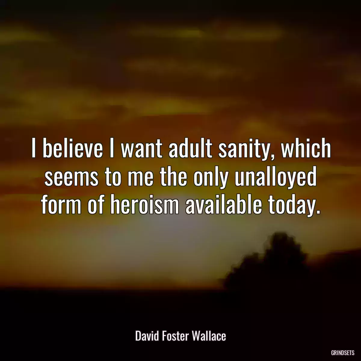 I believe I want adult sanity, which seems to me the only unalloyed form of heroism available today.