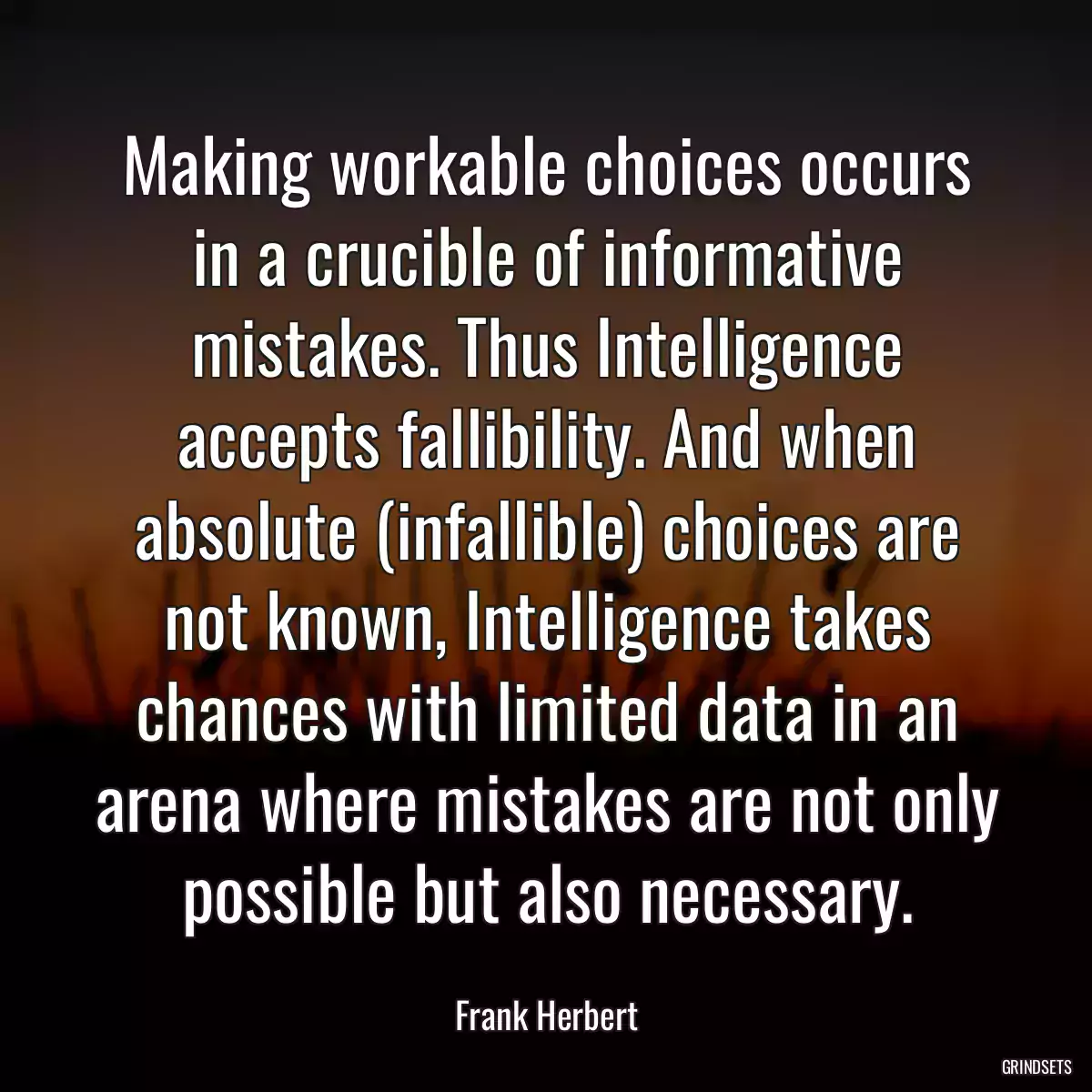 Making workable choices occurs in a crucible of informative mistakes. Thus Intelligence accepts fallibility. And when absolute (infallible) choices are not known, Intelligence takes chances with limited data in an arena where mistakes are not only possible but also necessary.