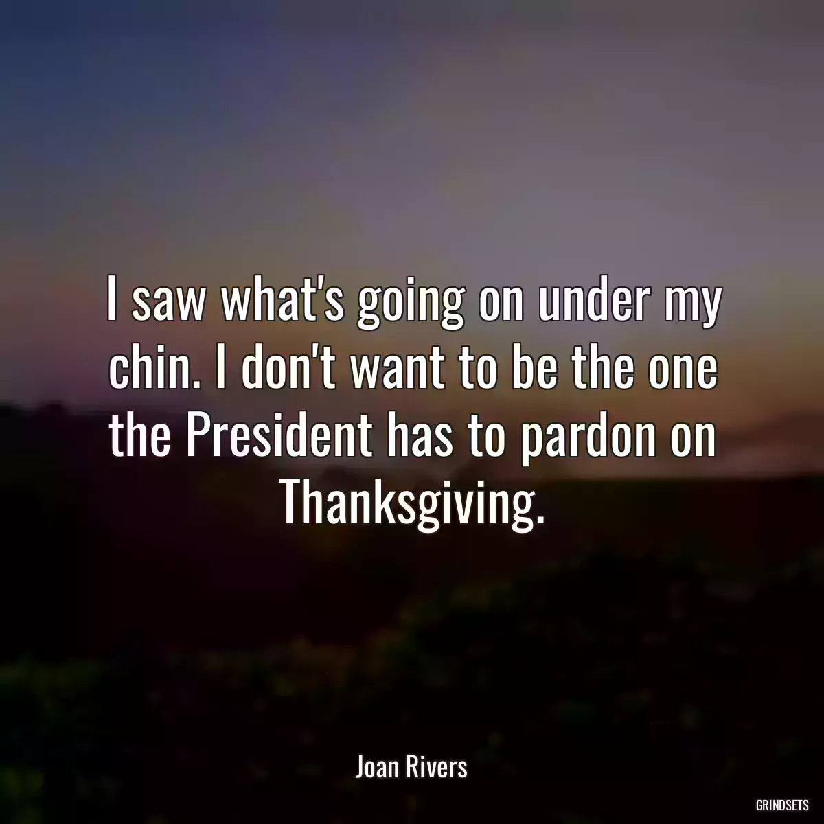 I saw what\'s going on under my chin. I don\'t want to be the one the President has to pardon on Thanksgiving.