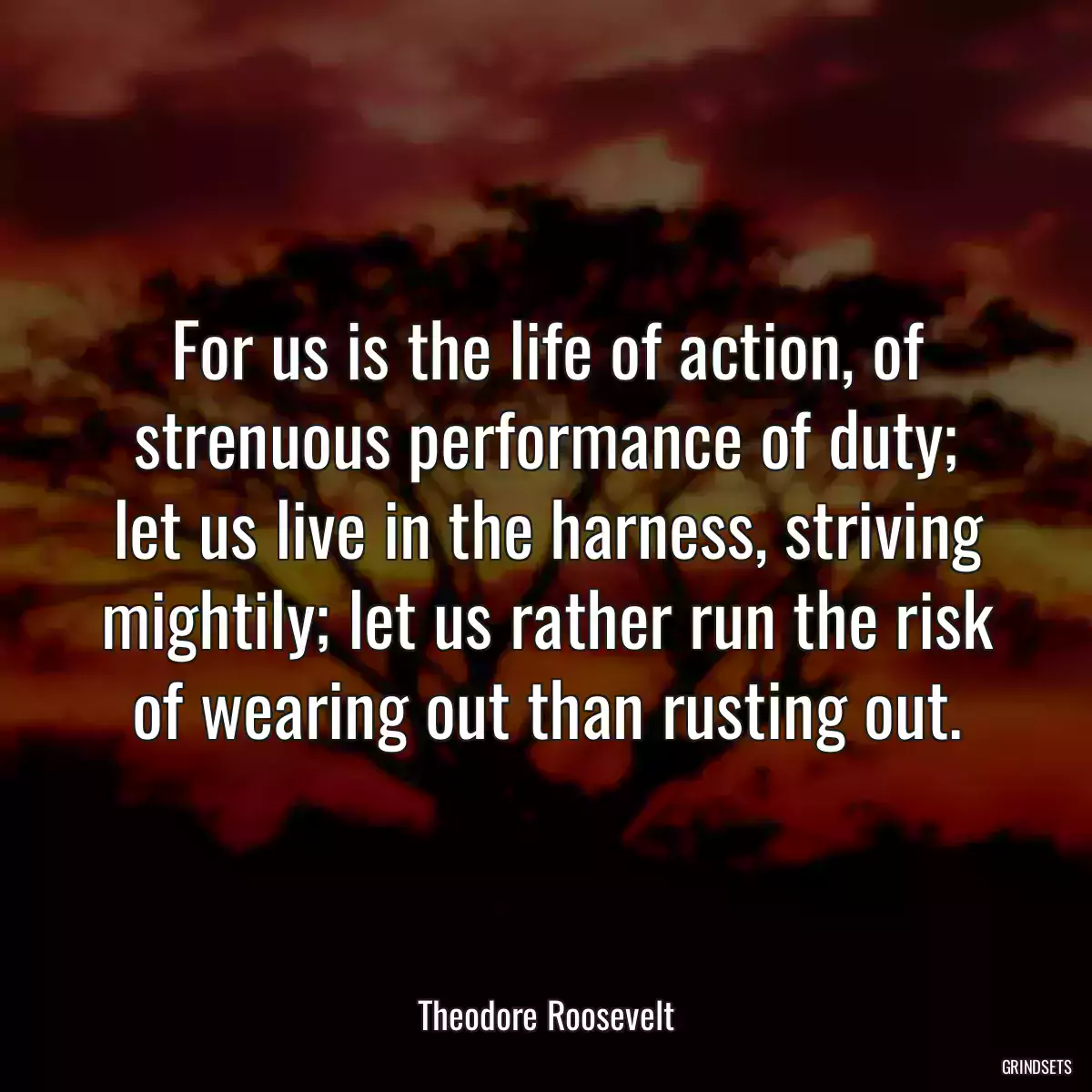 For us is the life of action, of strenuous performance of duty; let us live in the harness, striving mightily; let us rather run the risk of wearing out than rusting out.