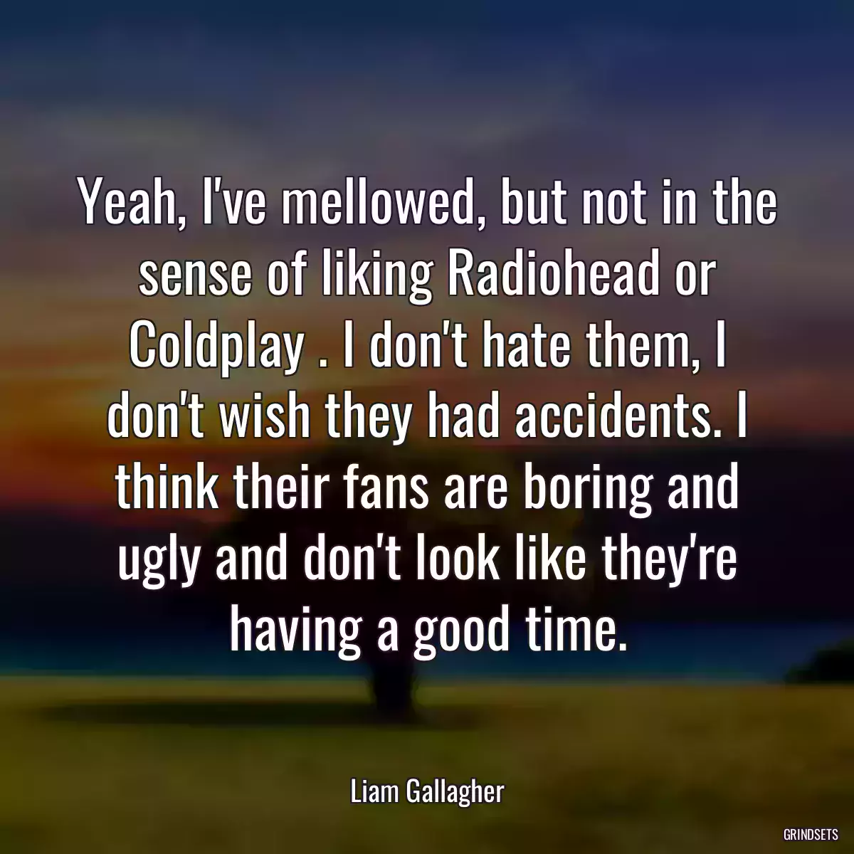 Yeah, I\'ve mellowed, but not in the sense of liking Radiohead or Coldplay . I don\'t hate them, I don\'t wish they had accidents. I think their fans are boring and ugly and don\'t look like they\'re having a good time.