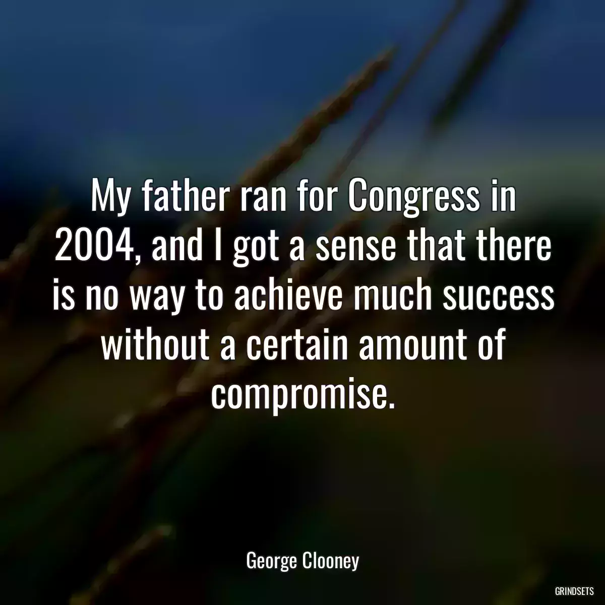 My father ran for Congress in 2004, and I got a sense that there is no way to achieve much success without a certain amount of compromise.