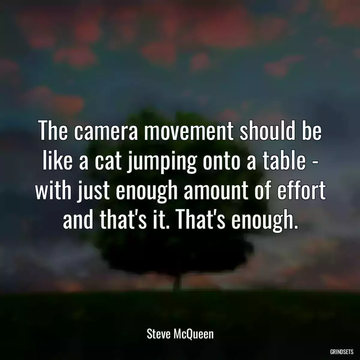 The camera movement should be like a cat jumping onto a table - with just enough amount of effort and that\'s it. That\'s enough.