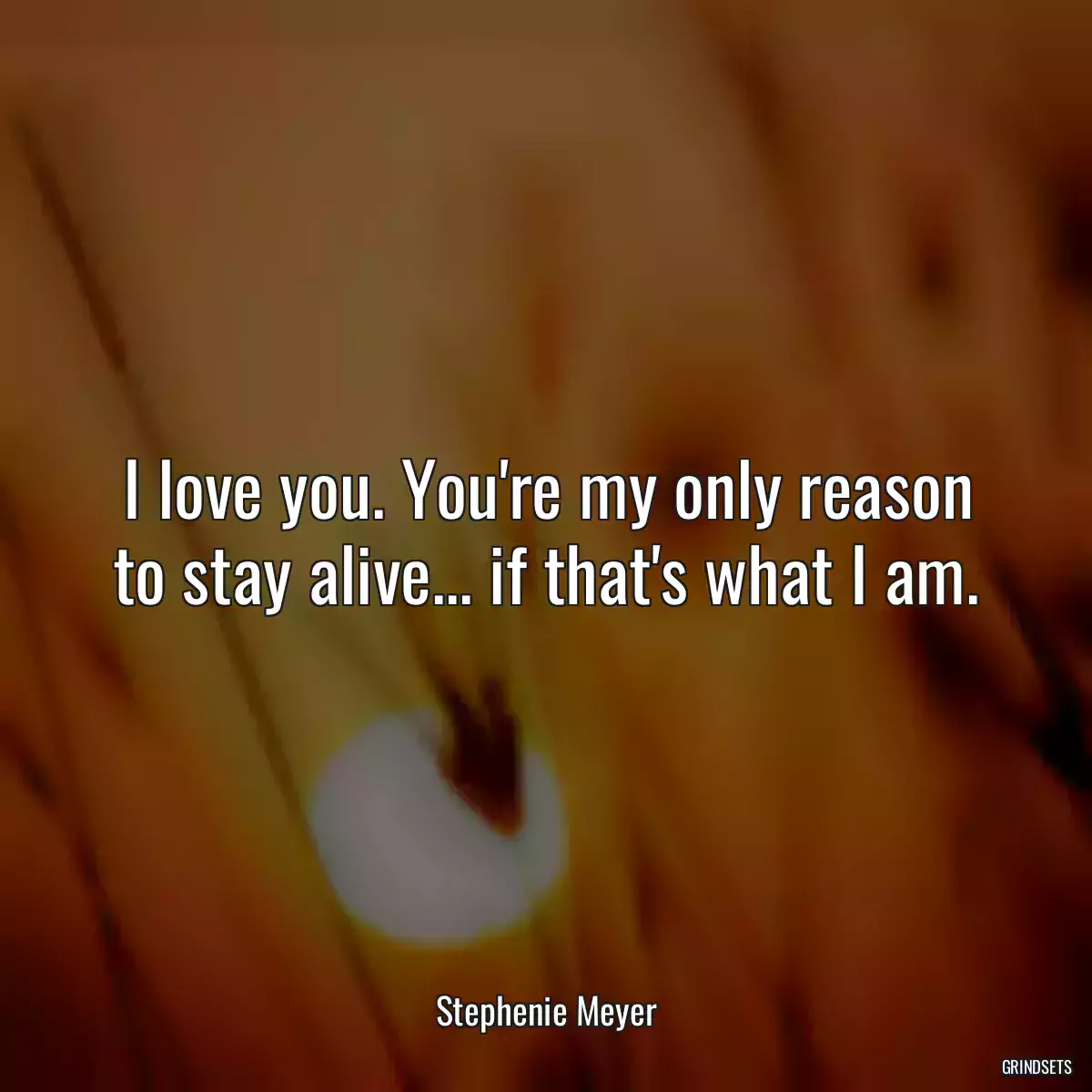 I love you. You\'re my only reason to stay alive... if that\'s what I am.