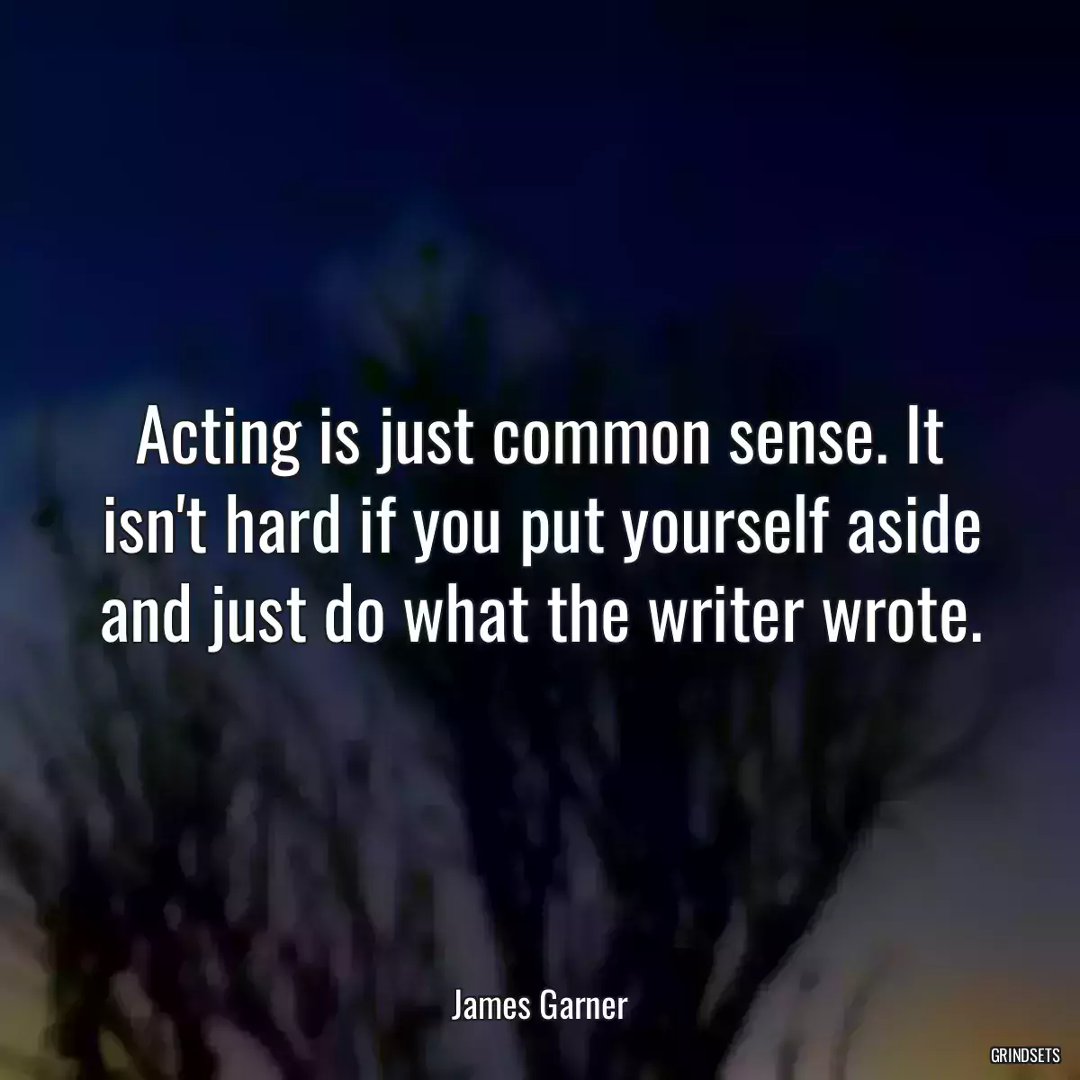 Acting is just common sense. It isn\'t hard if you put yourself aside and just do what the writer wrote.