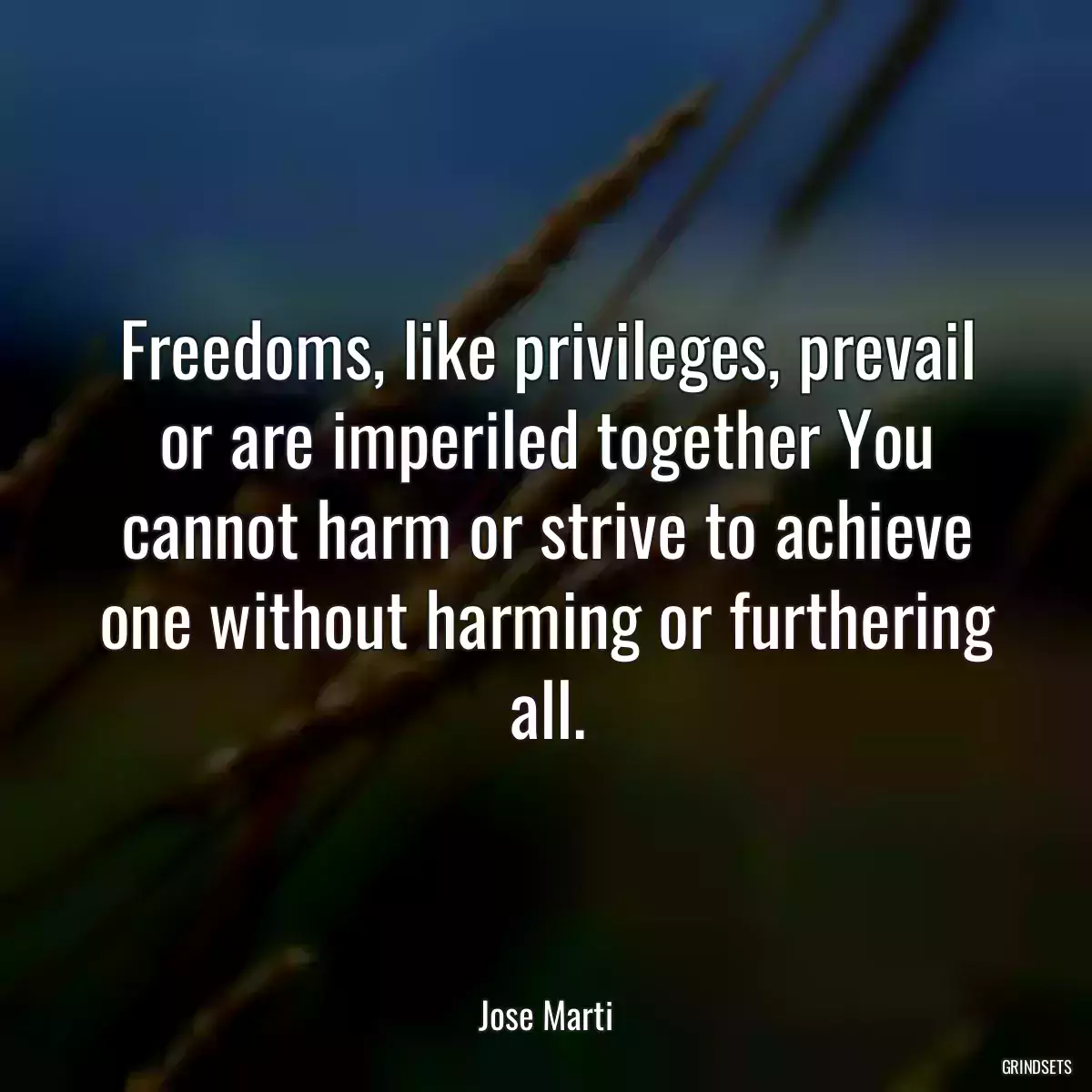 Freedoms, like privileges, prevail or are imperiled together You cannot harm or strive to achieve one without harming or furthering all.