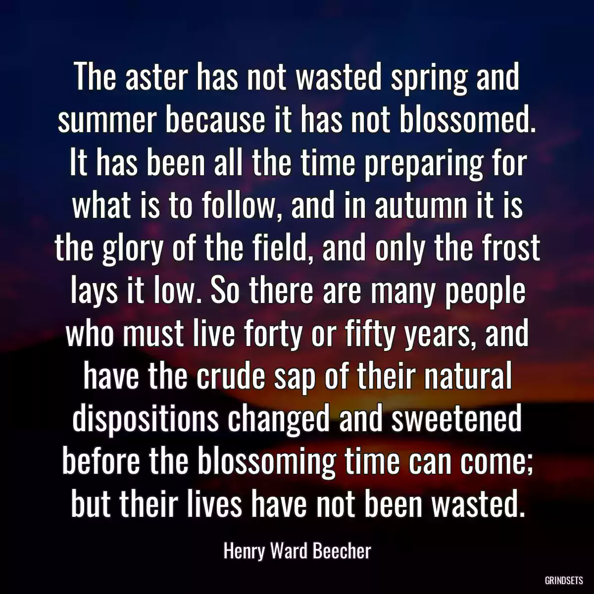 The aster has not wasted spring and summer because it has not blossomed. It has been all the time preparing for what is to follow, and in autumn it is the glory of the field, and only the frost lays it low. So there are many people who must live forty or fifty years, and have the crude sap of their natural dispositions changed and sweetened before the blossoming time can come; but their lives have not been wasted.