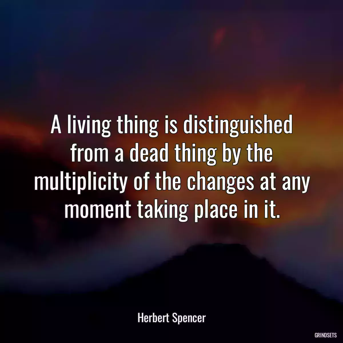 A living thing is distinguished from a dead thing by the multiplicity of the changes at any moment taking place in it.