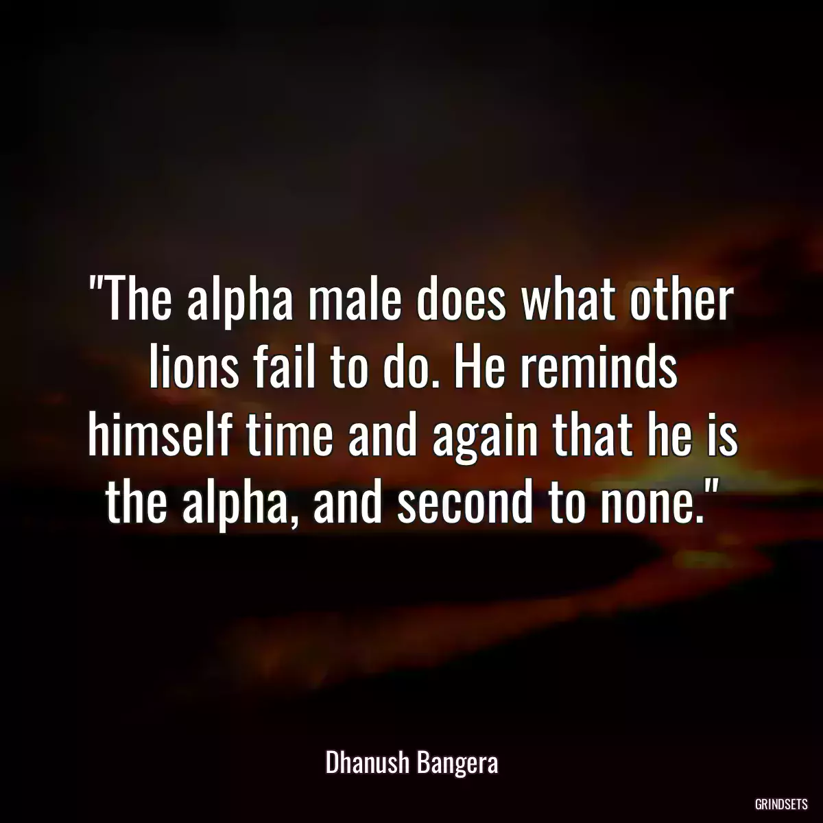 The alpha male does what other lions fail to do. He reminds himself time and again that he is the alpha, and second to none.