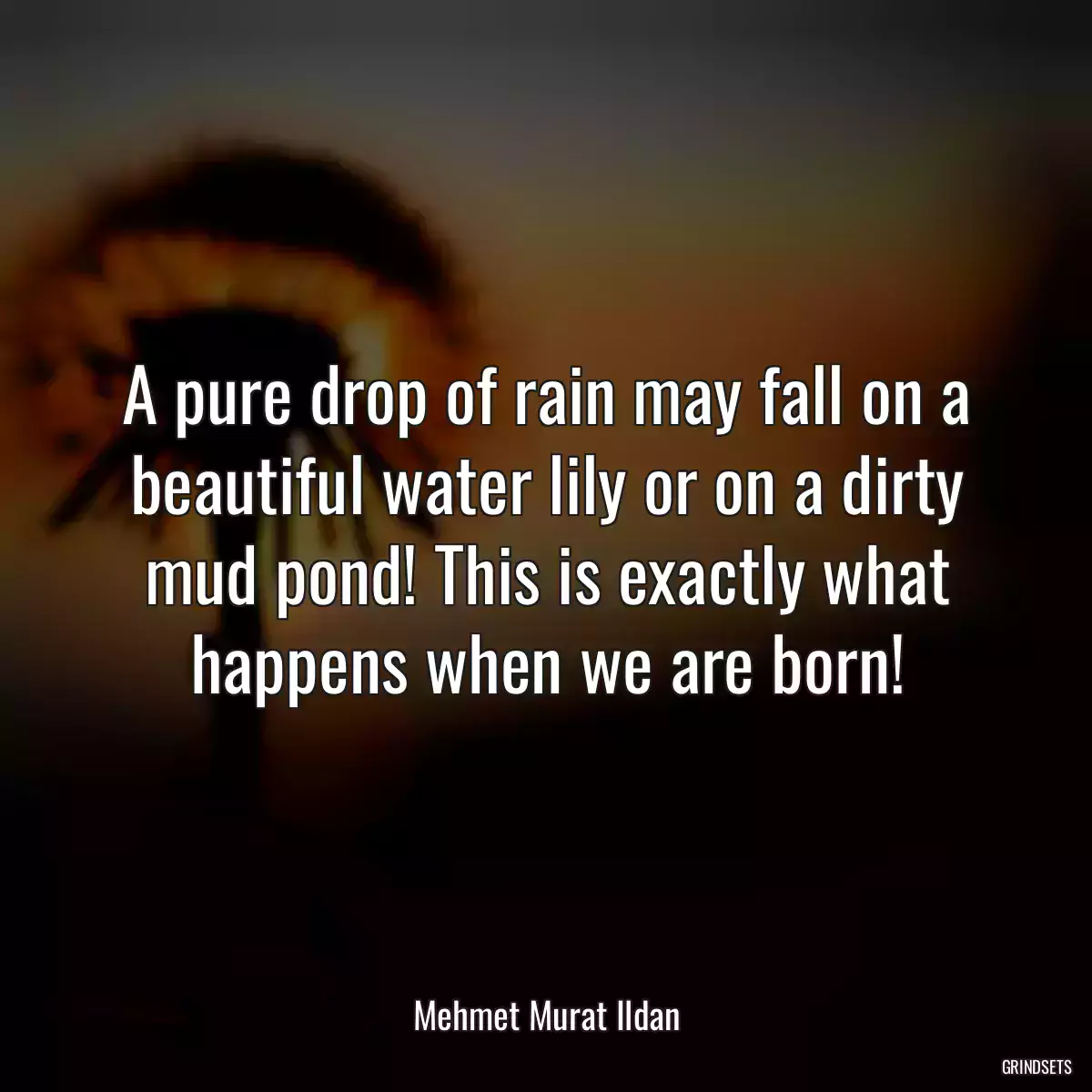 A pure drop of rain may fall on a beautiful water lily or on a dirty mud pond! This is exactly what happens when we are born!