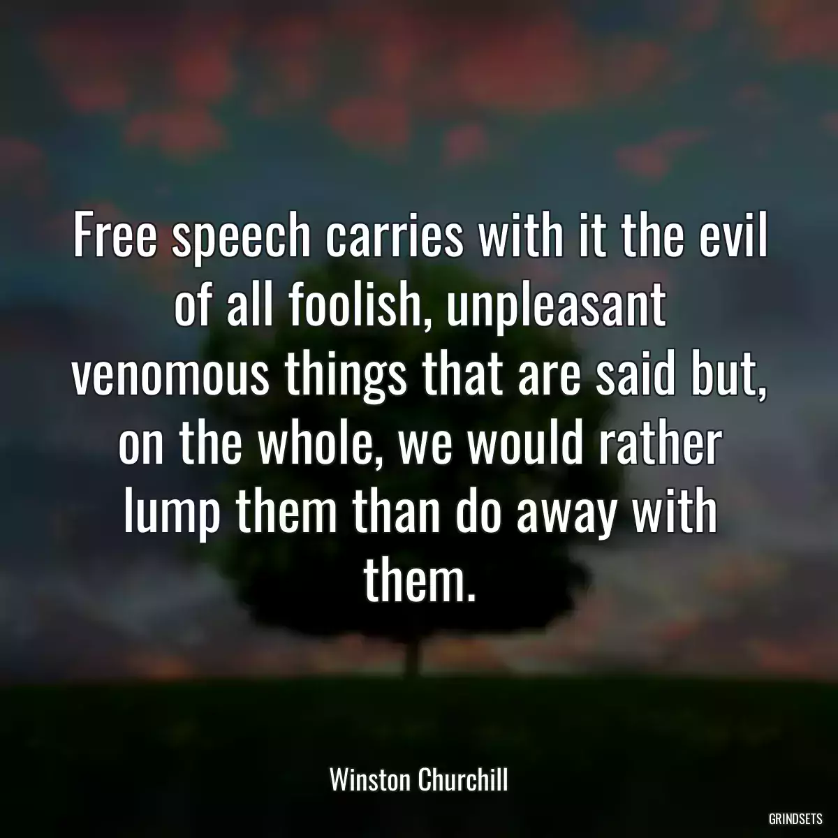 Free speech carries with it the evil of all foolish, unpleasant venomous things that are said but, on the whole, we would rather lump them than do away with them.