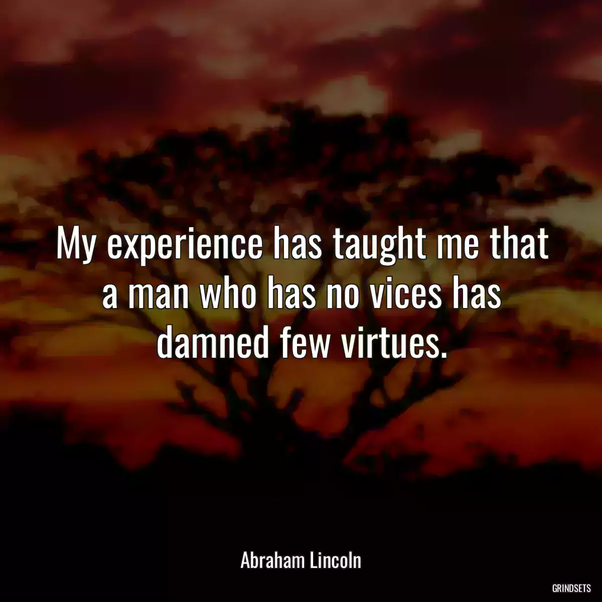 My experience has taught me that a man who has no vices has damned few virtues.