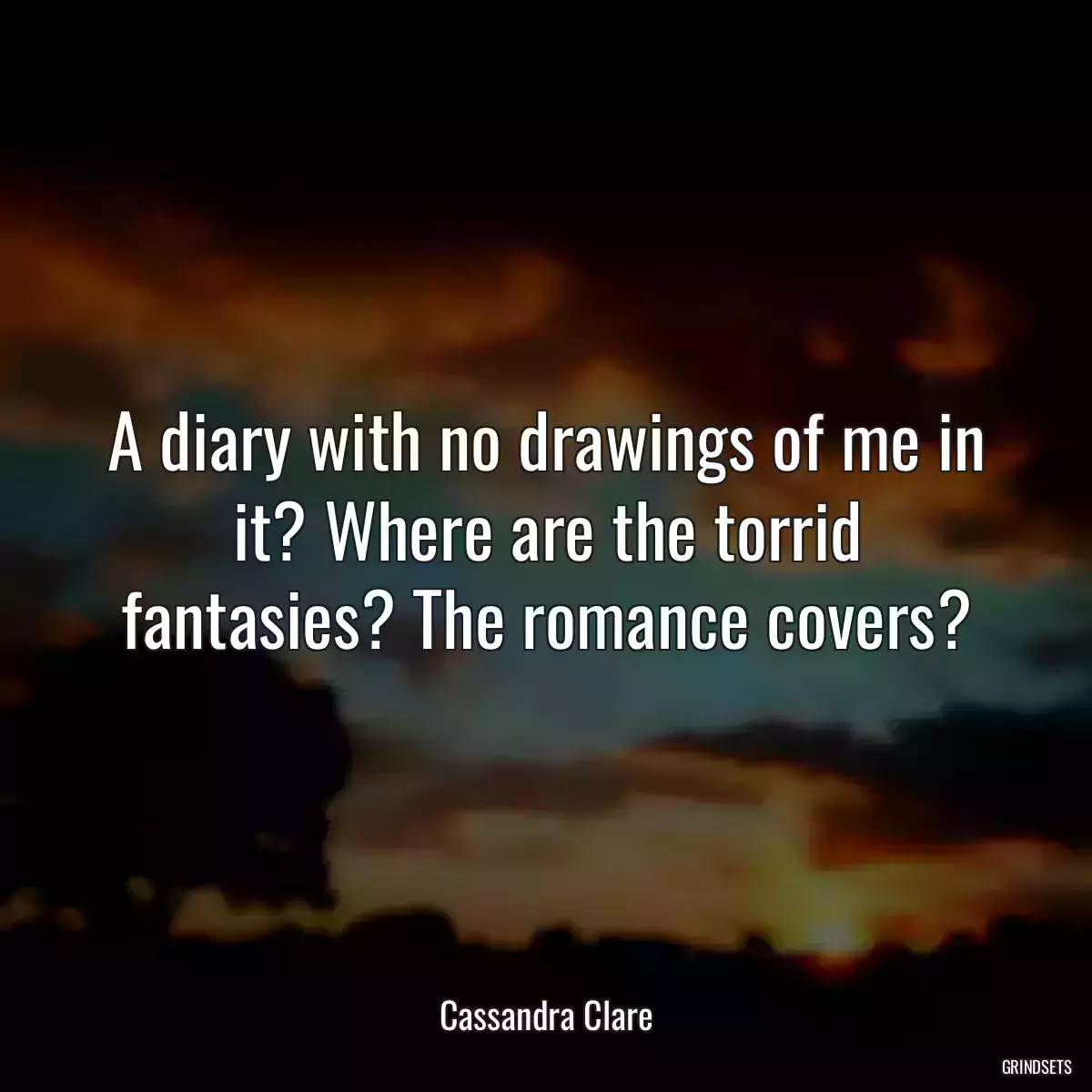 A diary with no drawings of me in it? Where are the torrid fantasies? The romance covers?