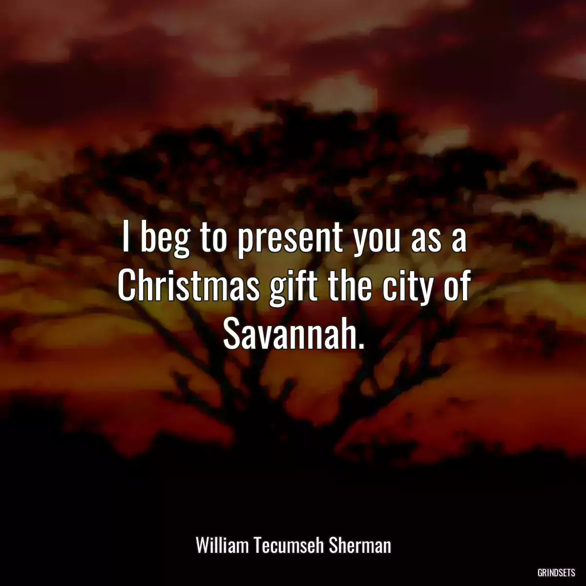 I beg to present you as a Christmas gift the city of Savannah.