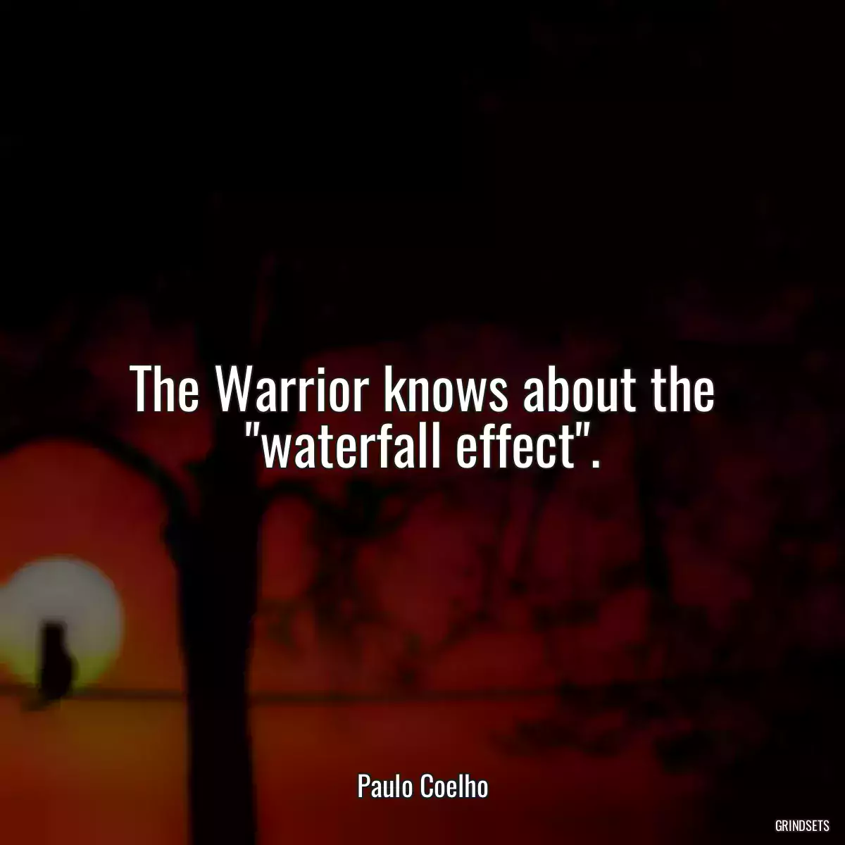 The Warrior knows about the \