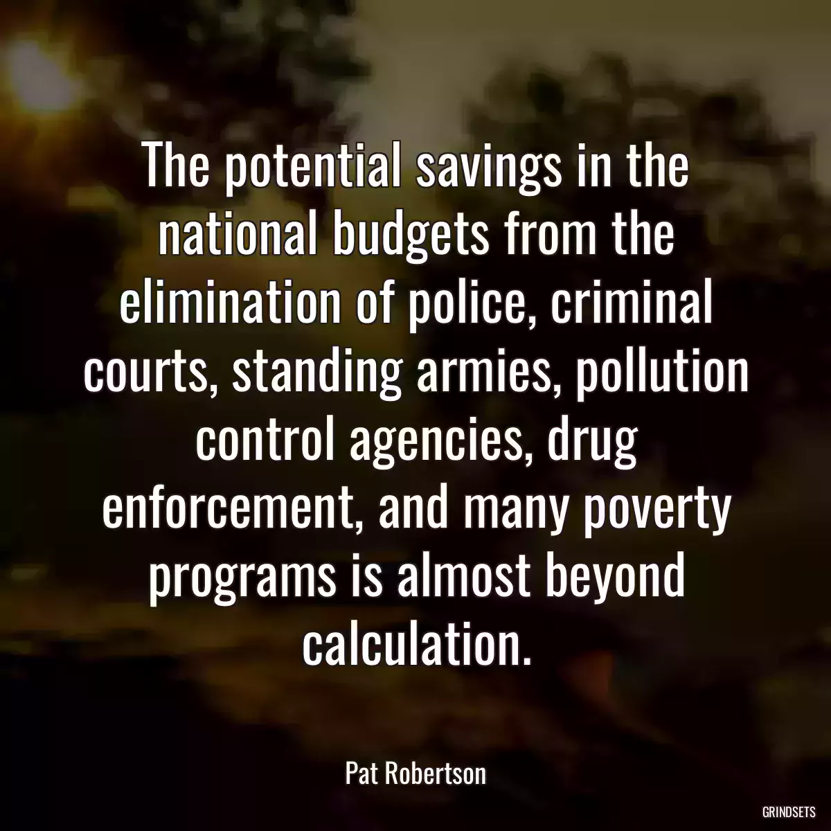 The potential savings in the national budgets from the elimination of police, criminal courts, standing armies, pollution control agencies, drug enforcement, and many poverty programs is almost beyond calculation.