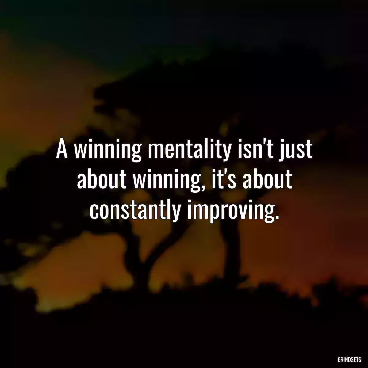 A winning mentality isn\'t just about winning, it\'s about constantly improving.