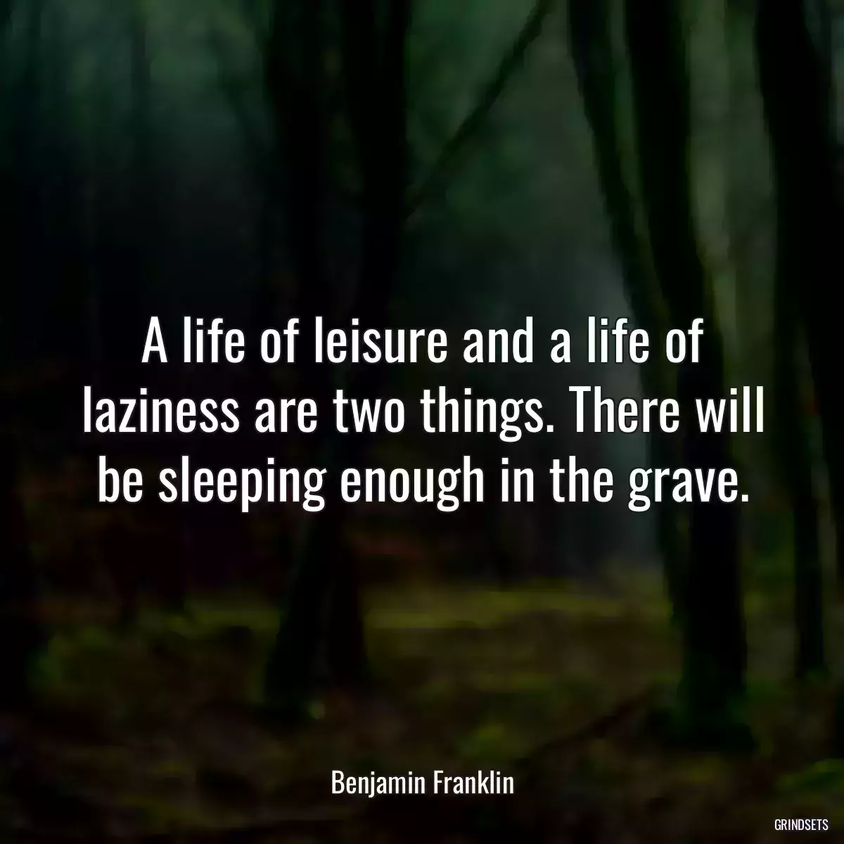 A life of leisure and a life of laziness are two things. There will be sleeping enough in the grave.