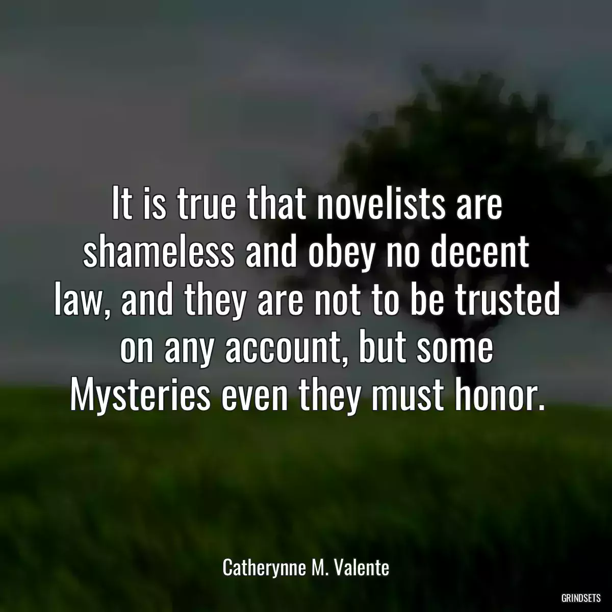 It is true that novelists are shameless and obey no decent law, and they are not to be trusted on any account, but some Mysteries even they must honor.