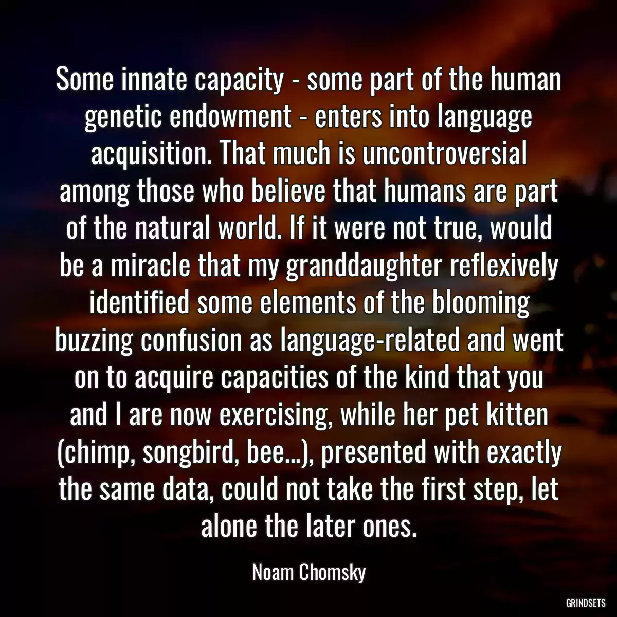 Some innate capacity - some part of the human genetic endowment - enters into language acquisition. That much is uncontroversial among those who believe that humans are part of the natural world. If it were not true, would be a miracle that my granddaughter reflexively identified some elements of the blooming buzzing confusion as language-related and went on to acquire capacities of the kind that you and I are now exercising, while her pet kitten (chimp, songbird, bee...), presented with exactly the same data, could not take the first step, let alone the later ones.