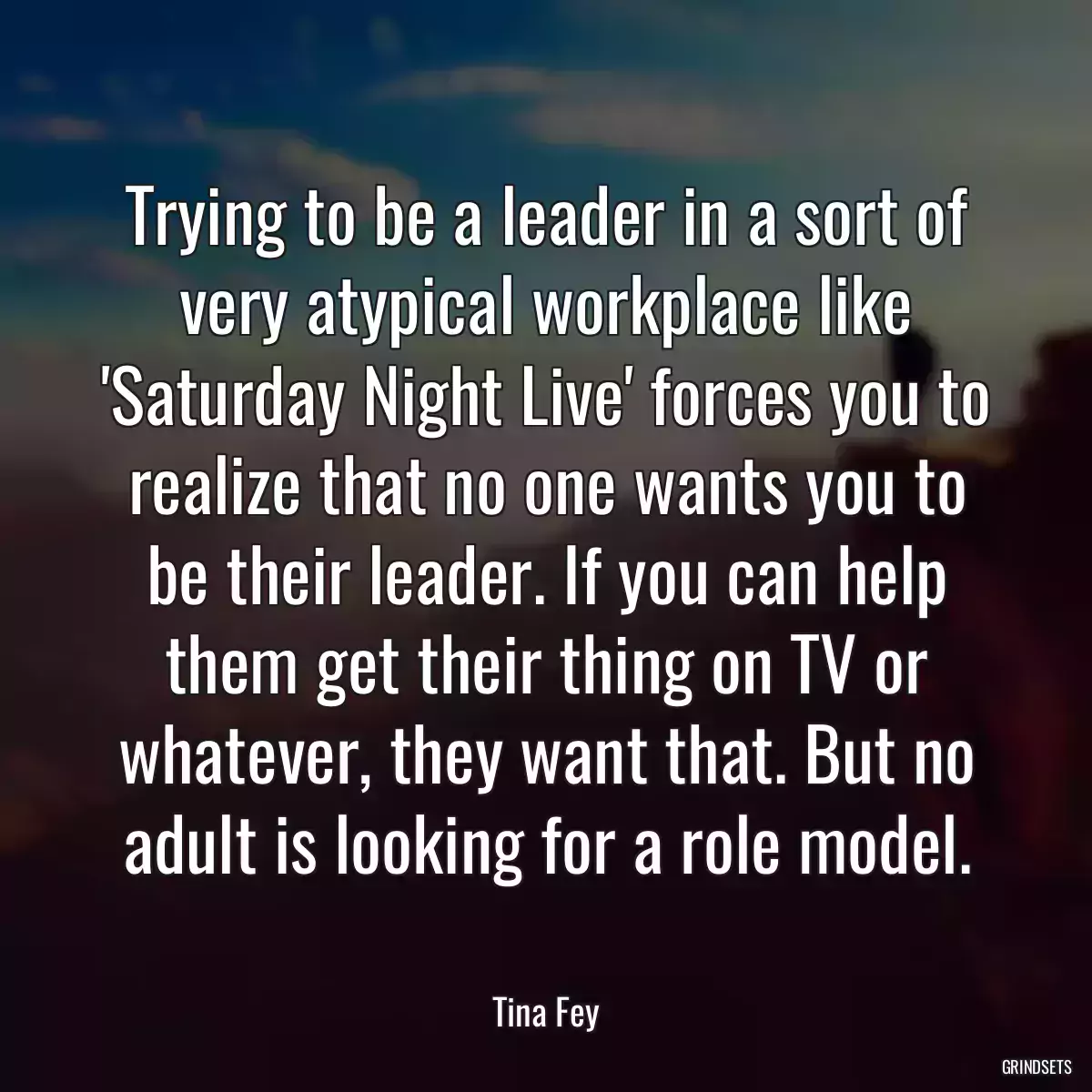 Trying to be a leader in a sort of very atypical workplace like \'Saturday Night Live\' forces you to realize that no one wants you to be their leader. If you can help them get their thing on TV or whatever, they want that. But no adult is looking for a role model.