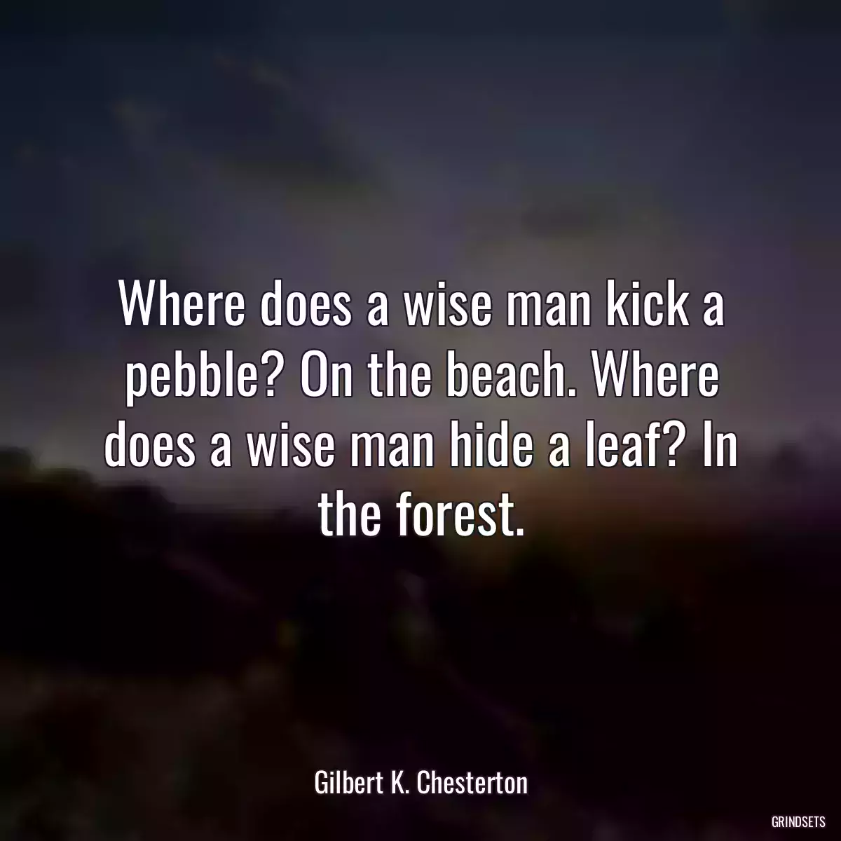 Where does a wise man kick a pebble? On the beach. Where does a wise man hide a leaf? In the forest.